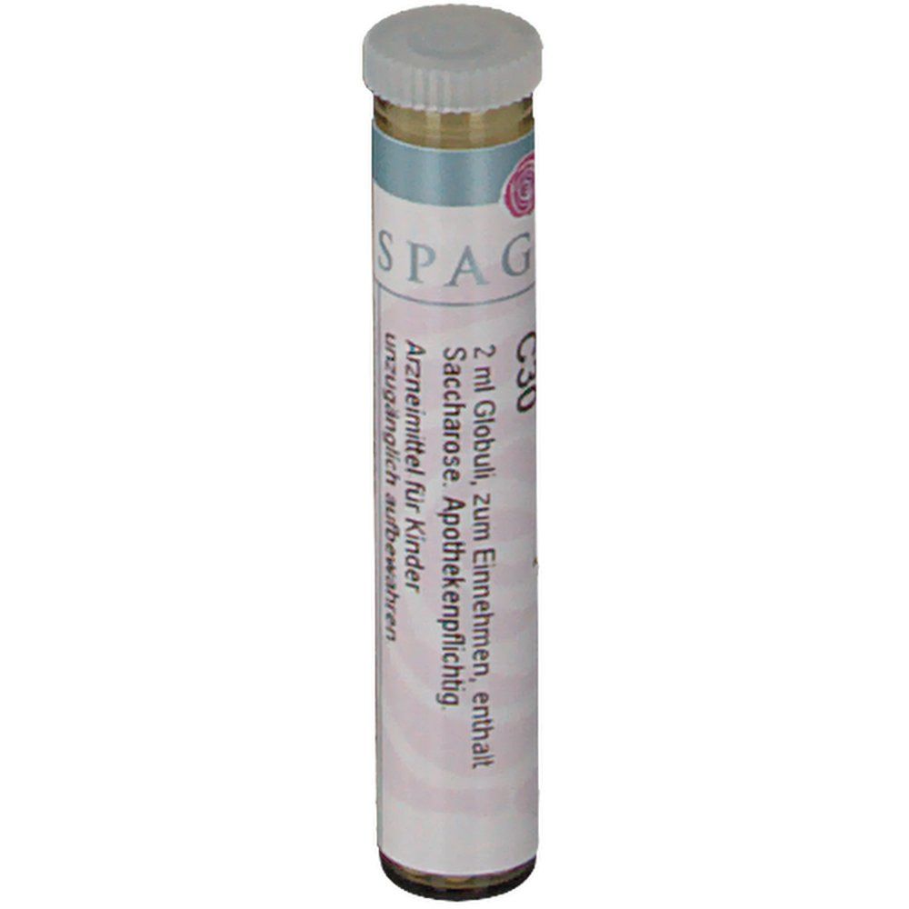SPAGYRA Pyrogenium nosode C30