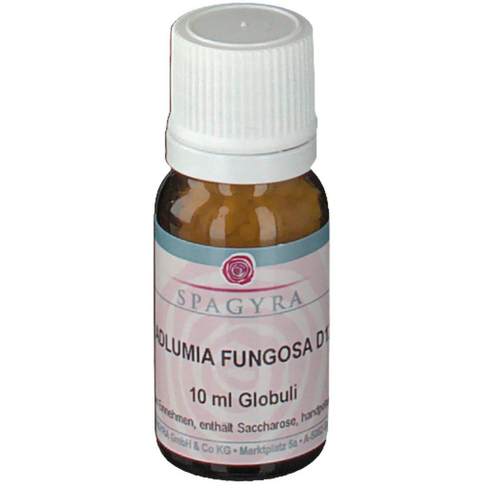 SPAGYRA Adlumia Fungosa D12