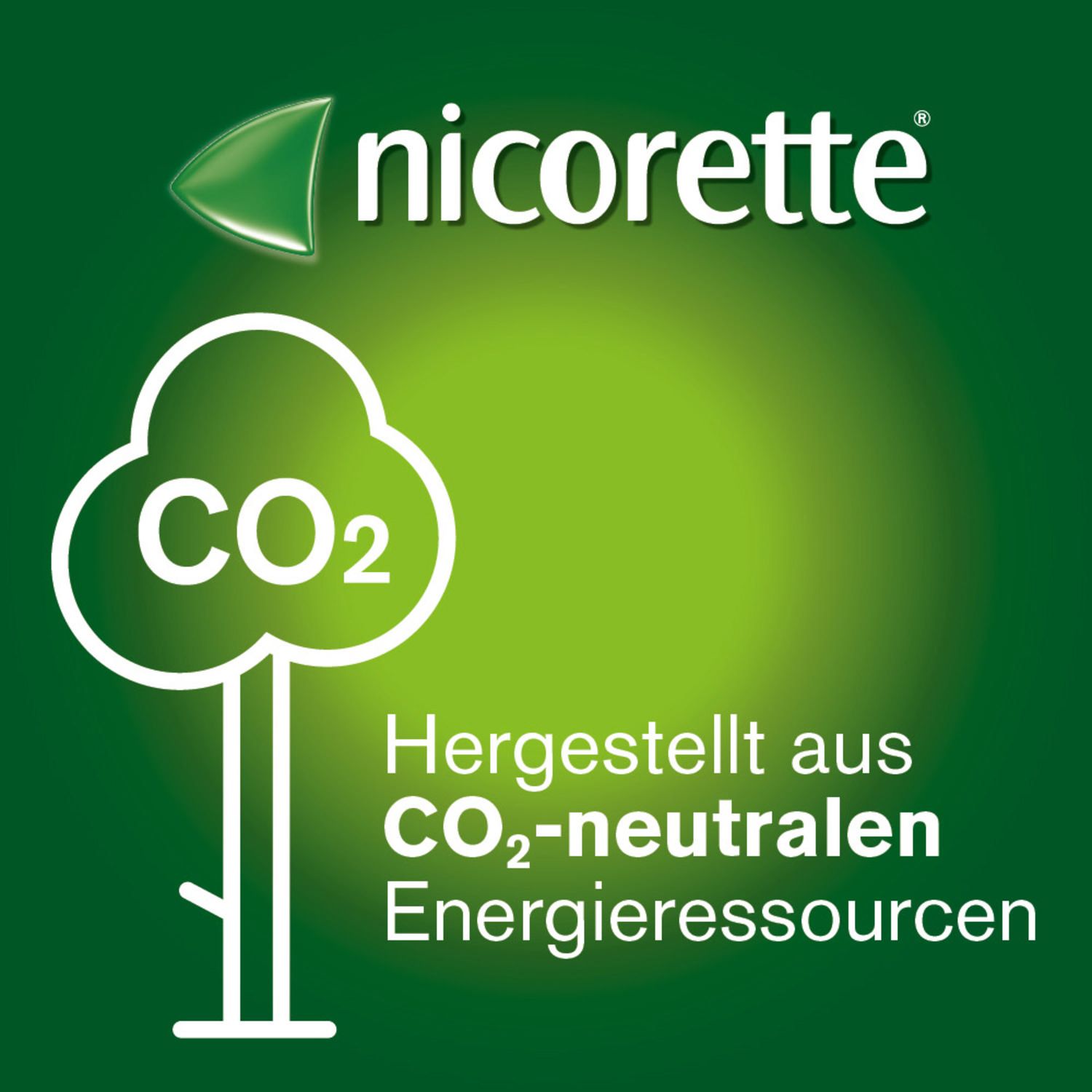 nicorette® Fruit & Mint Spray, 1mg/Sprühstoß 13,2 ml 