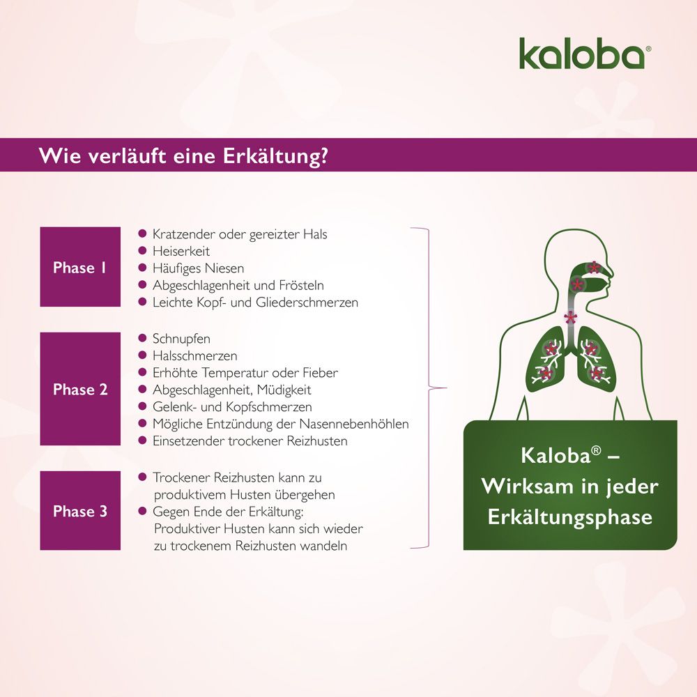 Kaloba® Tropfen