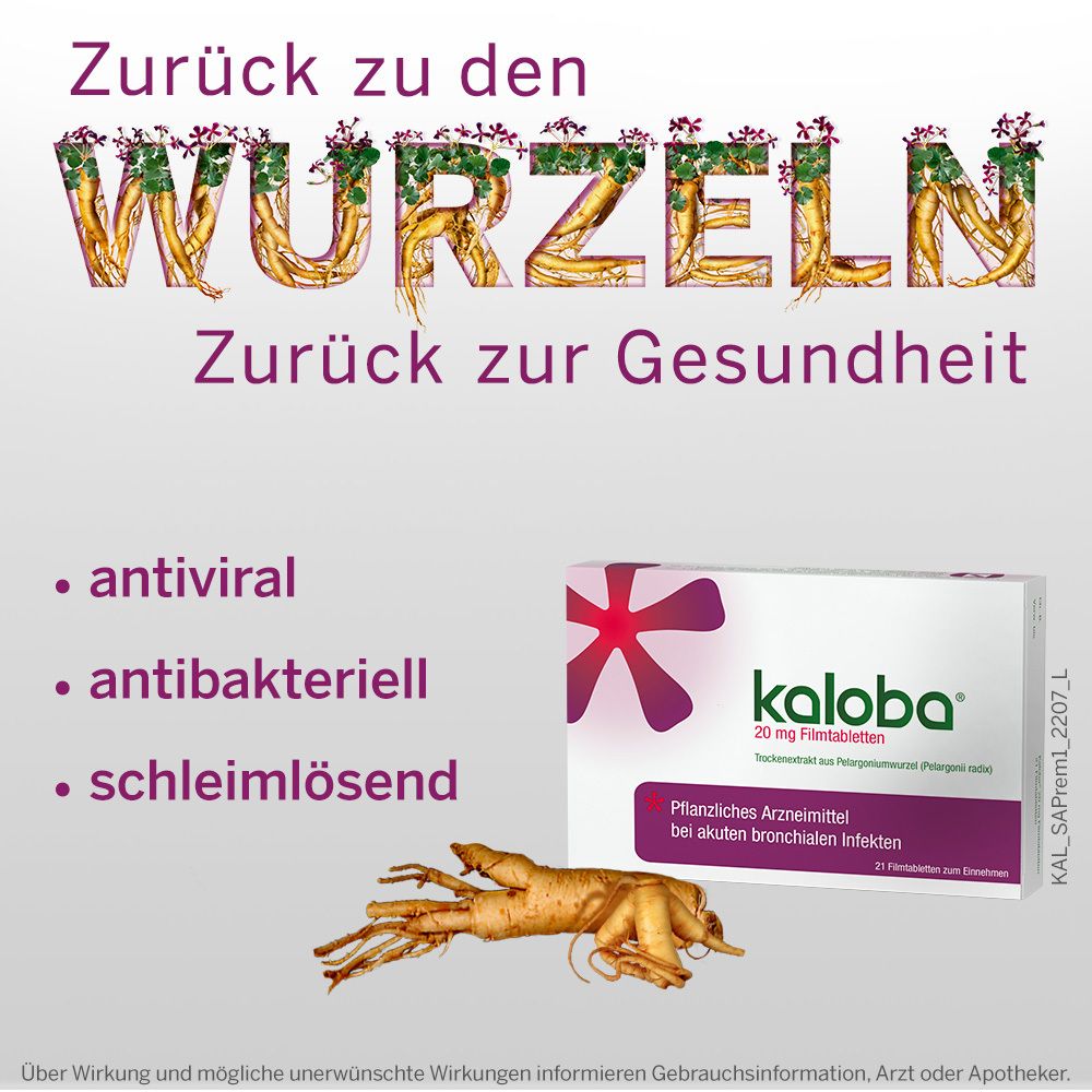 Kaloba® 20 mg