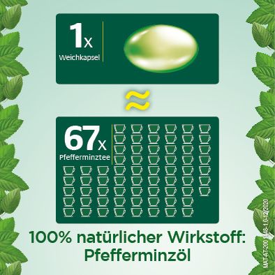 Buscomint® 0,2ml Reizdarmkapseln