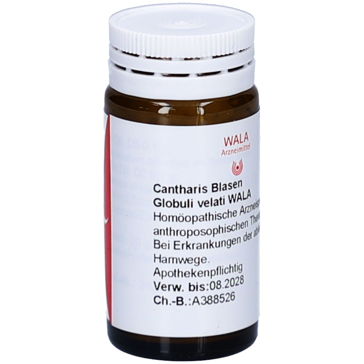 Braune Glasflasche mit weißem Deckel. Beschriftung: CANTHARIS BLASEN WAL GLO VEL. Apothekenpflichtig.