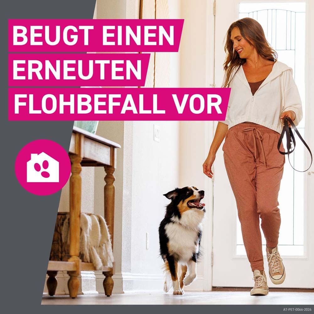 Text: Beugt einen erneuten Flohbefall vor. Rosa Haus-Symbol. Frau und Hund im Haus. Hund an der Leine.