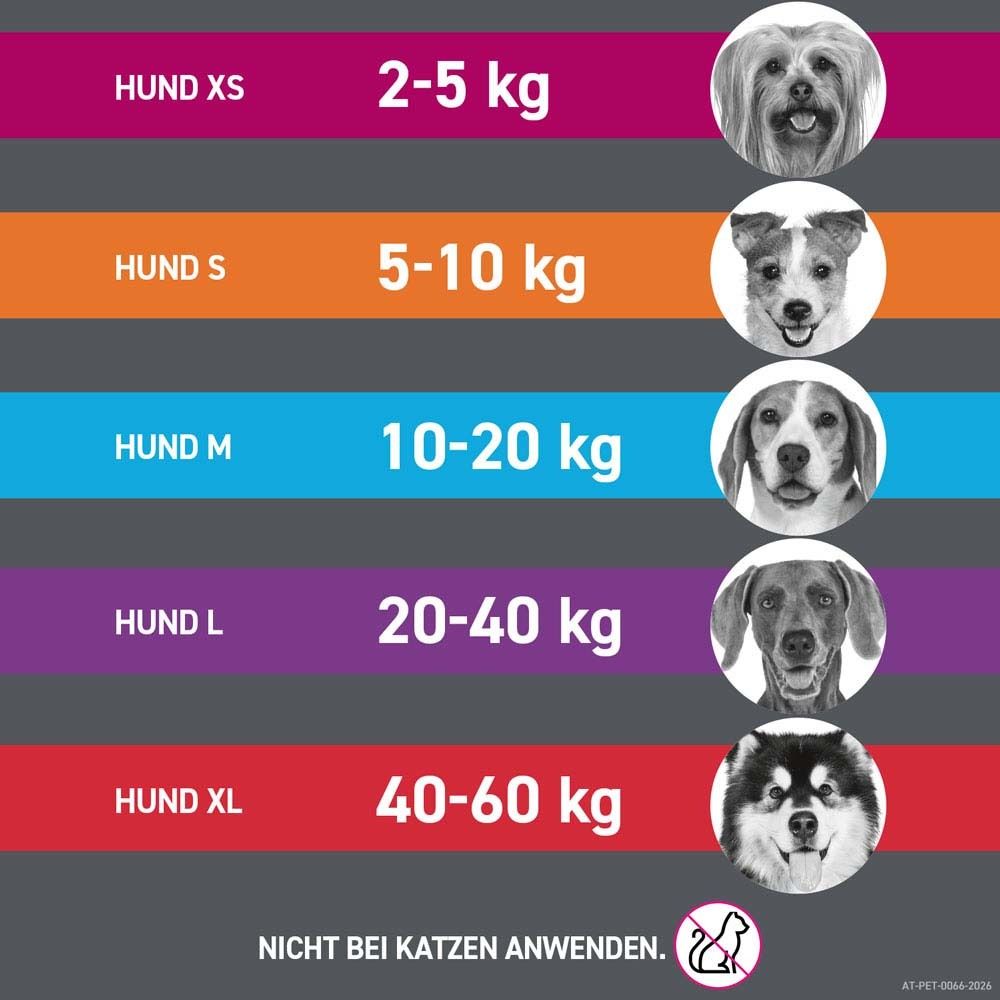 Grafik: Größenangaben für Hunde. XS: 2-5 kg, S: 5-10 kg, M: 10-20 kg, L: 20-40 kg, XL: 40-60 kg. Nicht bei Katzen anwenden.