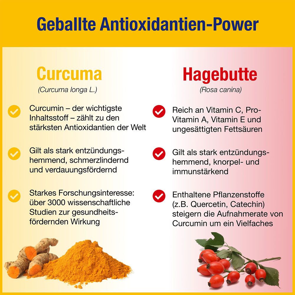 Gelber Hintergrund. Curcuma und Hagebutte. Vorteile: Antioxidantien, entzündungshemmend, reich an Vitaminen.