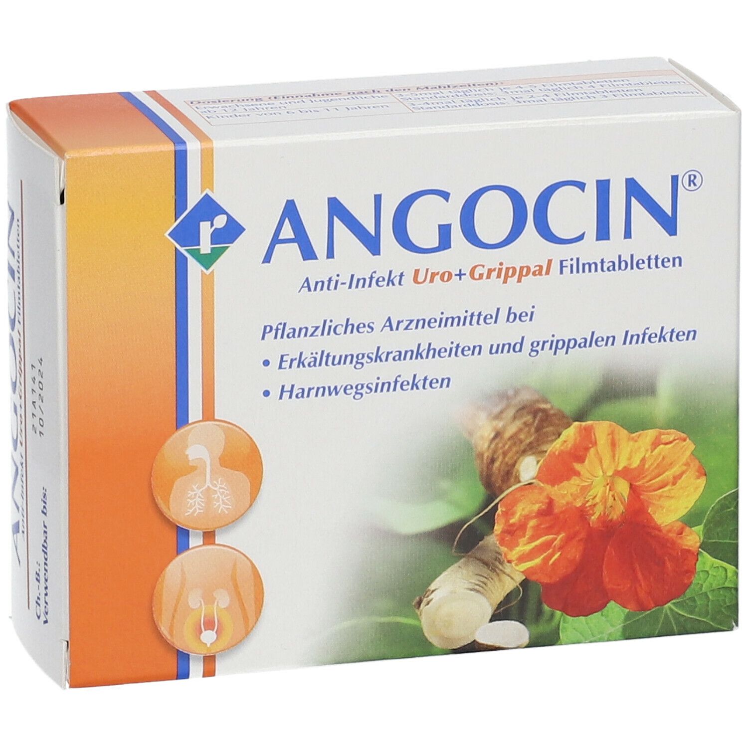 ANGOCIN® Anti-Infekt Uro+Grippal