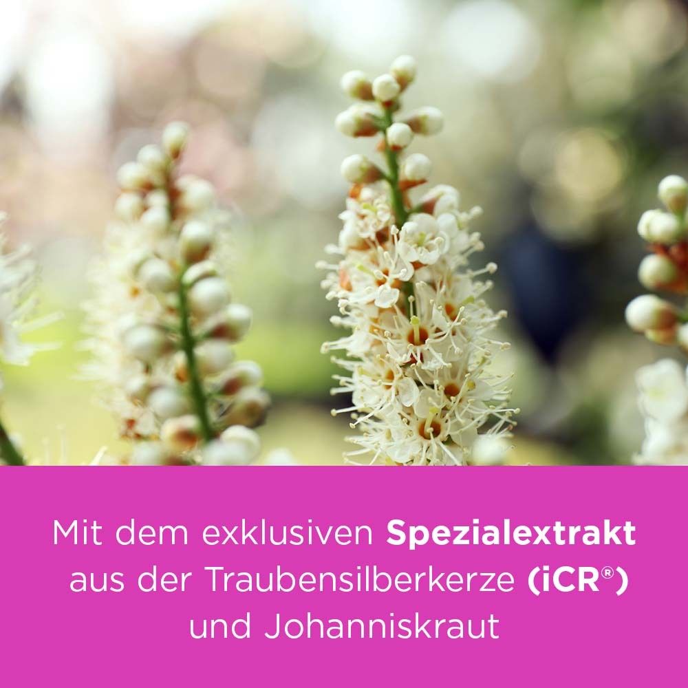 Nahaufnahme von Blüten. Text: Mit Spezialextrakt aus Traubensilberkerze und Johanniskraut. Rosa Hintergrund.