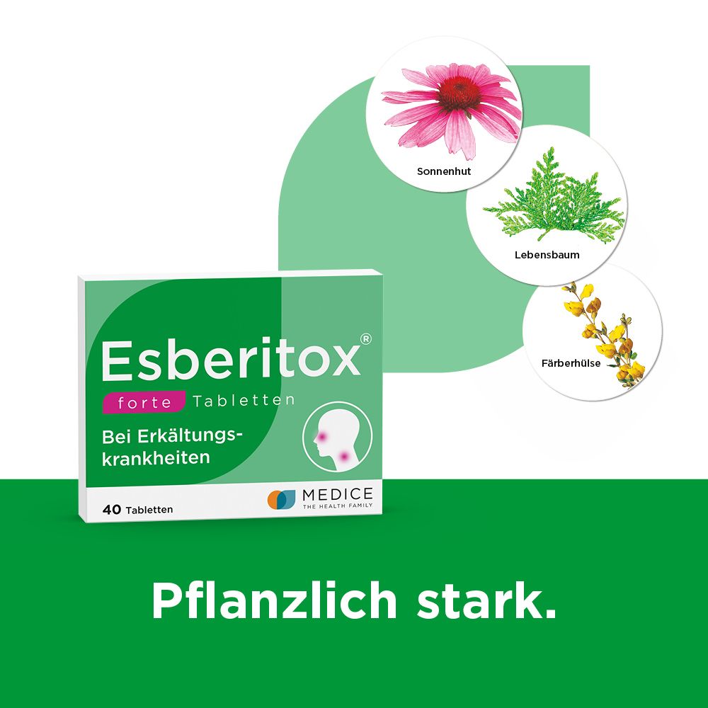 Schachtel Esberitox® Forte Tabletten. Grün-weiß. Text: Esberitox forte Tabletten, Bei Erkältungskrankheiten, 40 Tabletten. Pflanzenabbildungen.