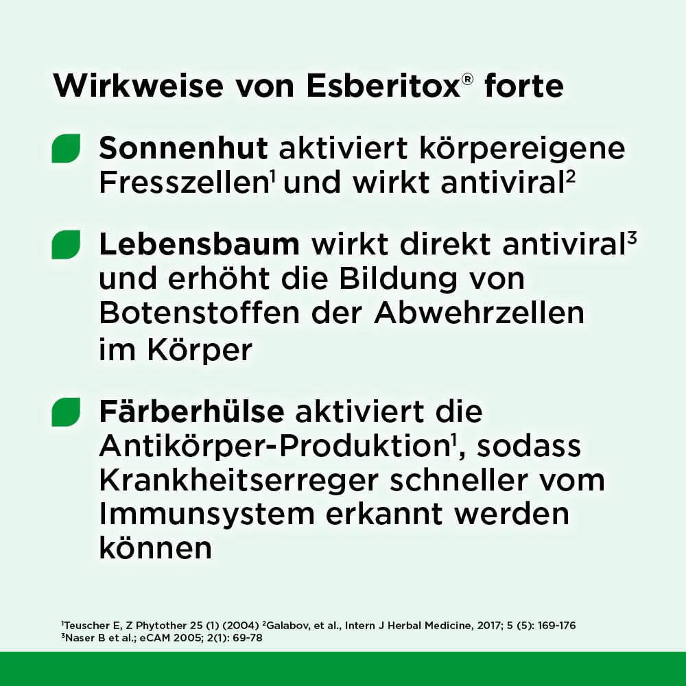 Text mit grünen Punkten. Wirkweise von Esberitox® forte. Sonnenhut aktiviert körpereigene Fresszellen. Lebensbaum wirkt antiviral.