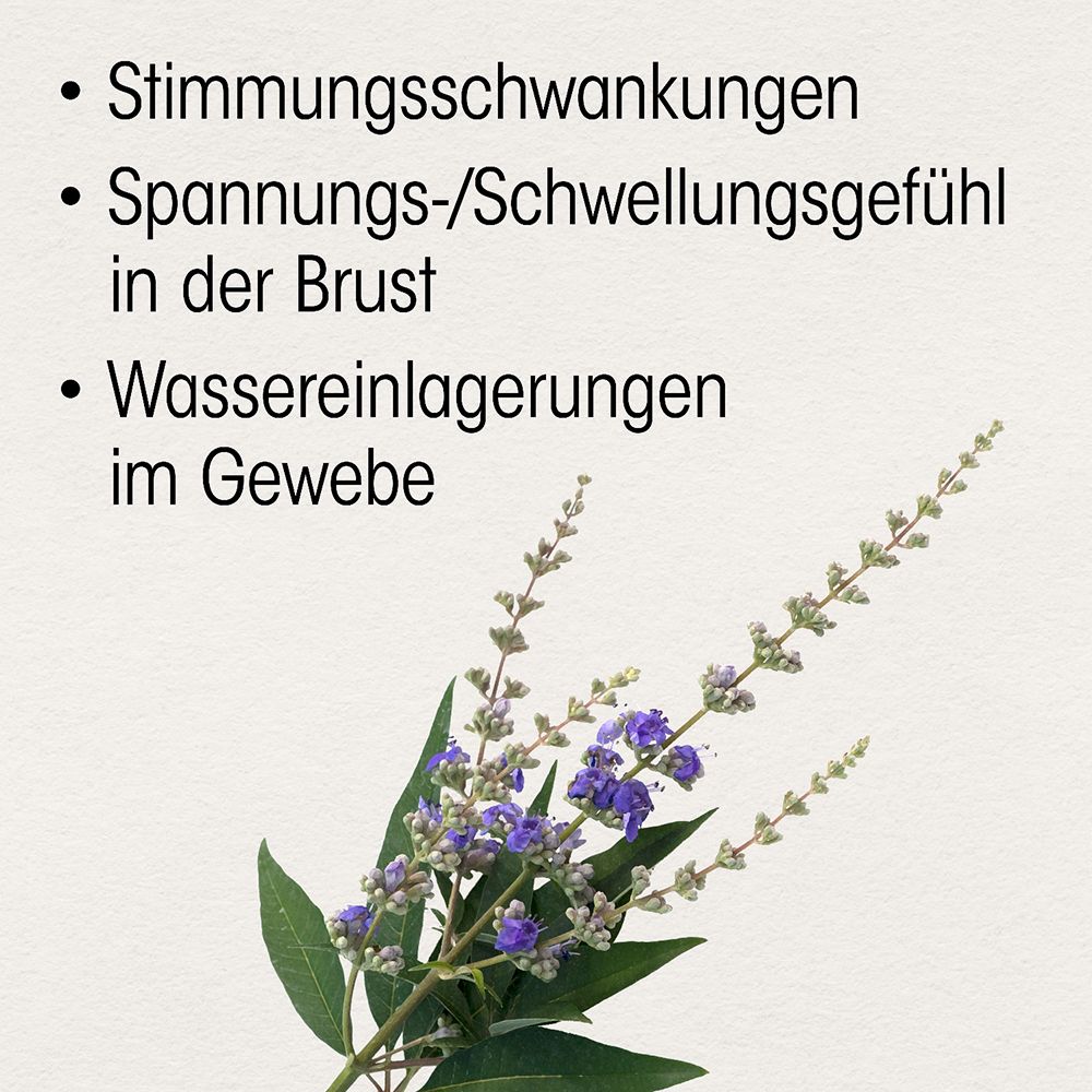 Dr. Böhm® Mönchspfeffer forte 20mg – Pflanzliche Hilfe bei Regelbeschwerden (PMS)