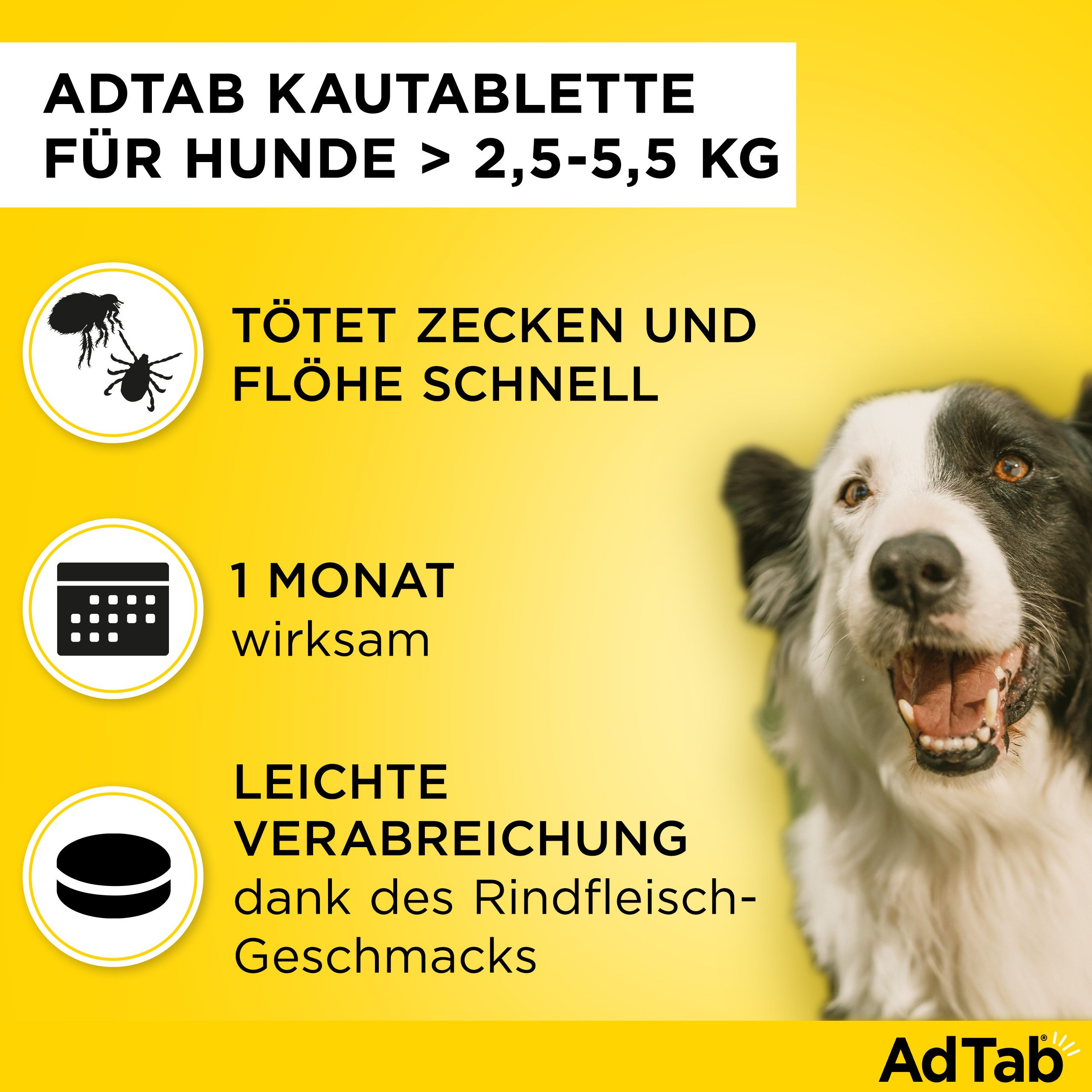 Gelber Hintergrund mit Text und Hund. Text: Tötet Zecken und Flöhe schnell. 1 Monat wirksam. Leichte Verabreichung.