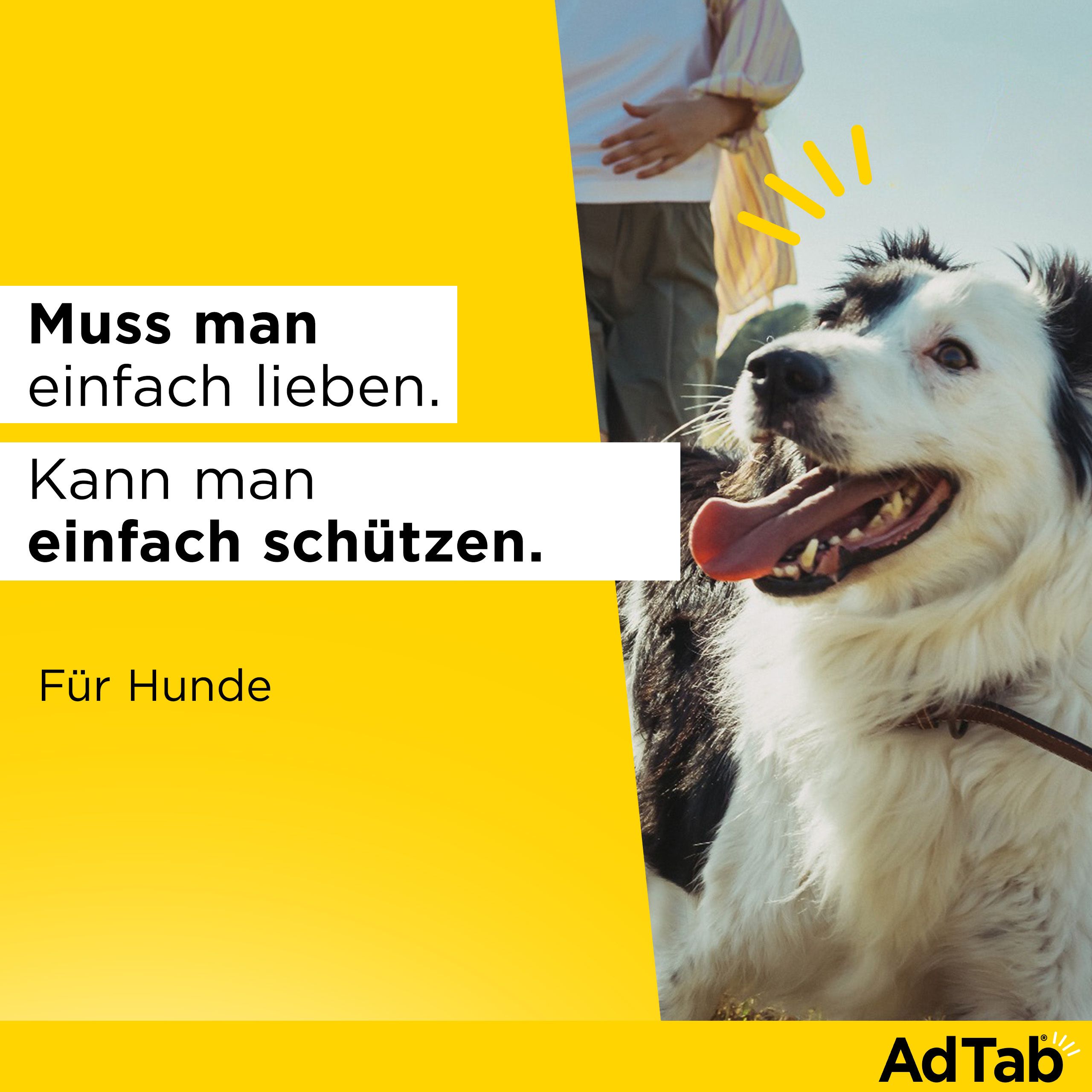 Hund mit Text. Text: Muss man einfach lieben. Kann man einfach schützen. Für Hunde.