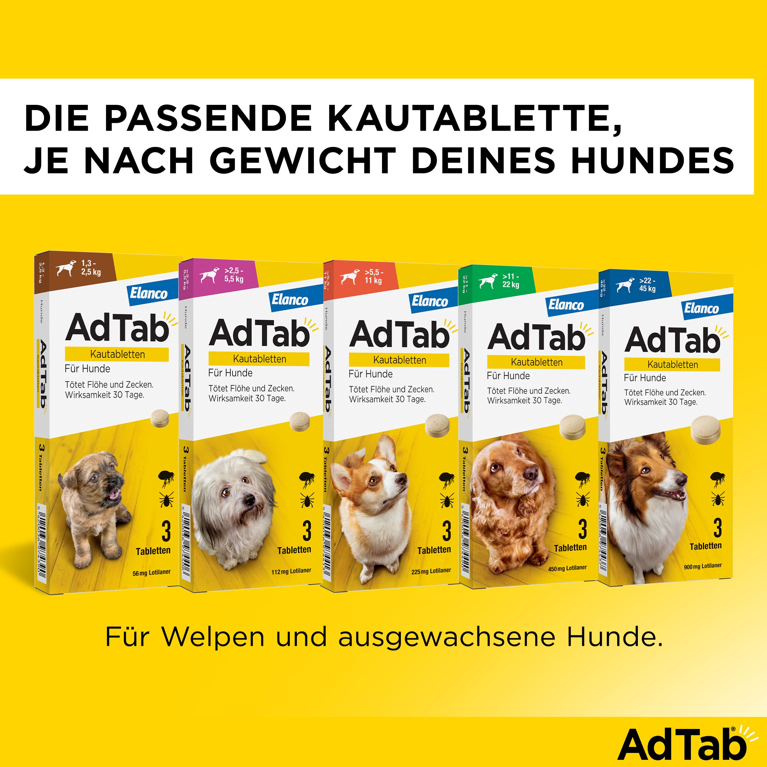 Reihe von Produktverpackungen. Verschiedene Größen. Text: Die passende Kautablette, je nach Gewicht deines Hundes.