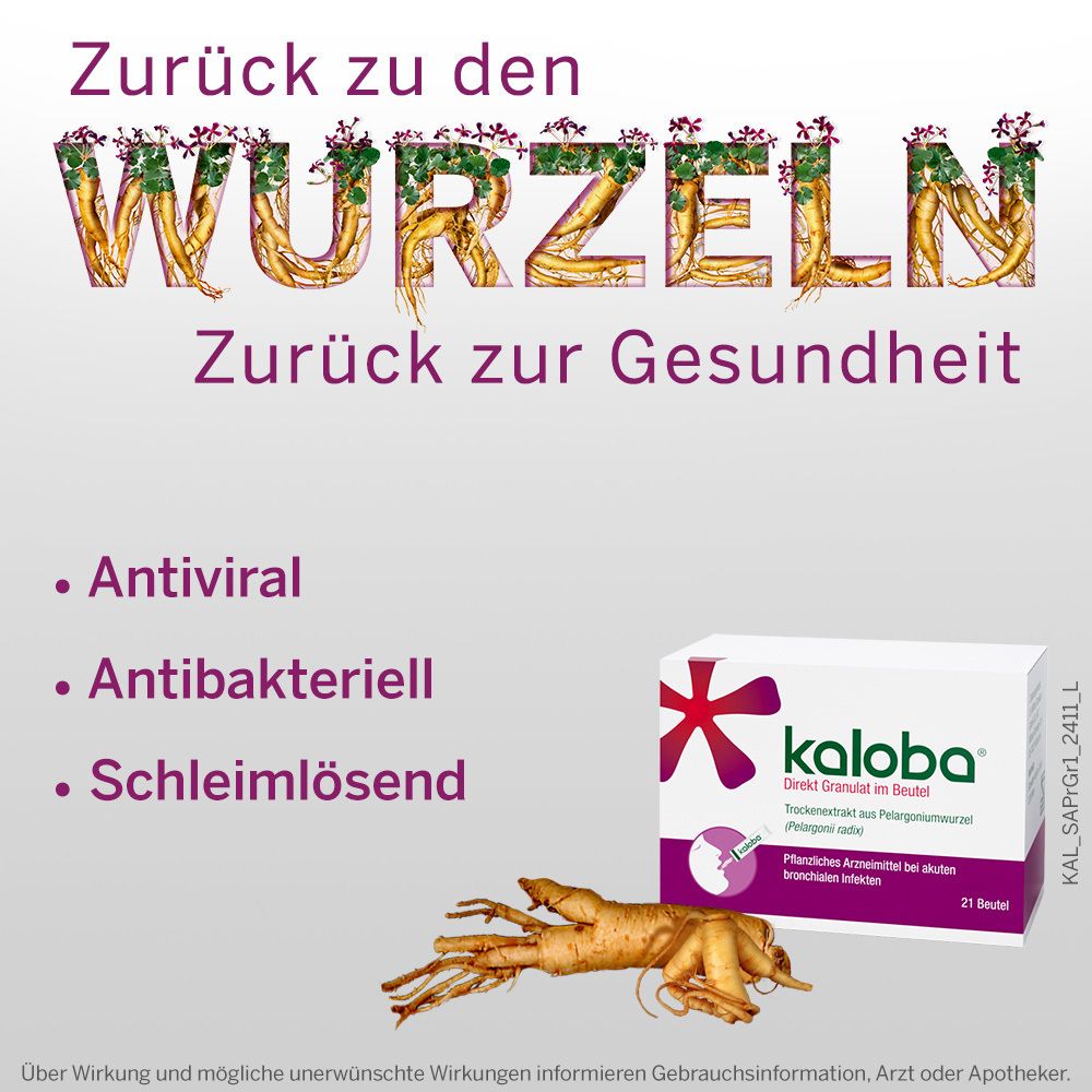 Kaloba® Direkt Granulat im Beutel