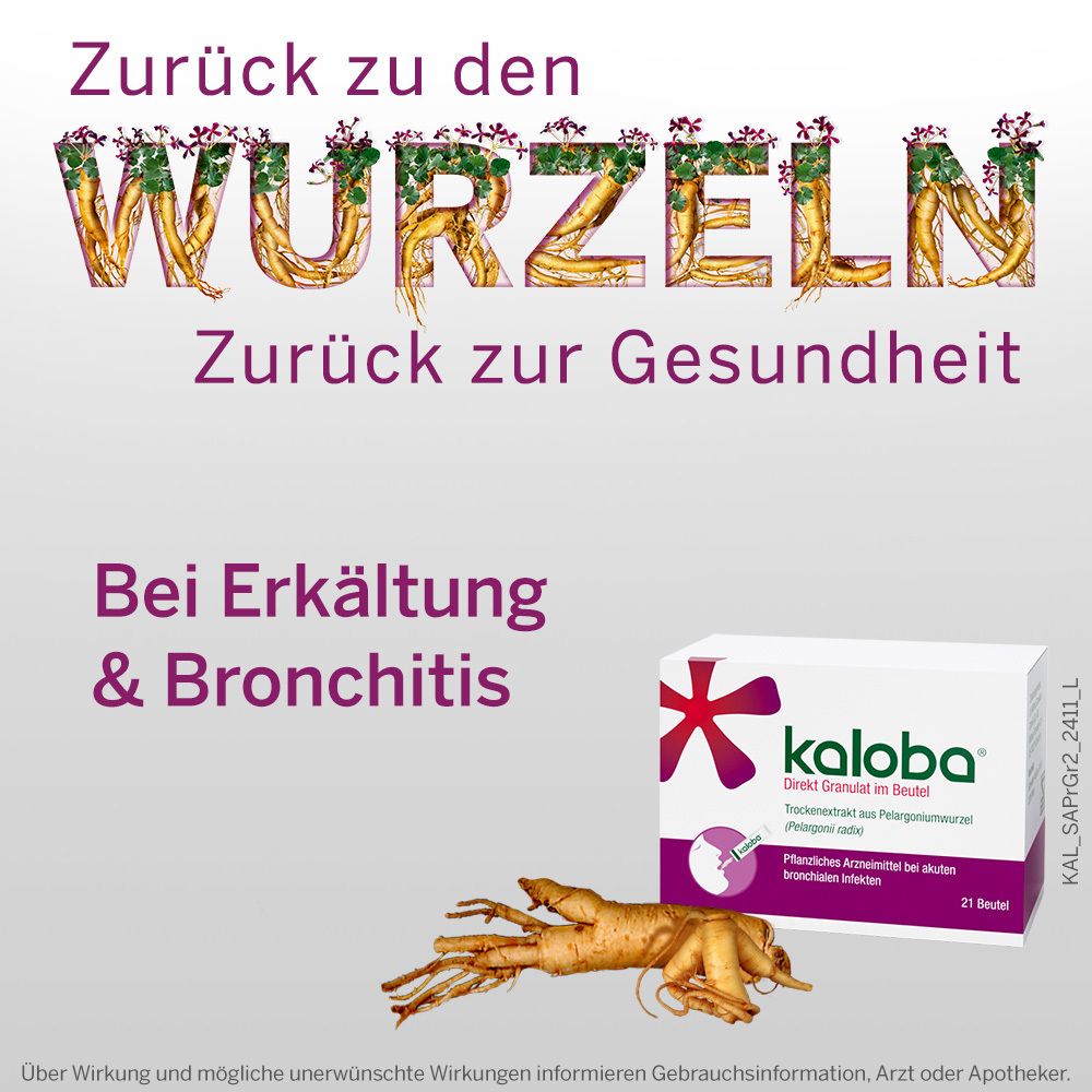 Kaloba® Direkt Granulat im Beutel