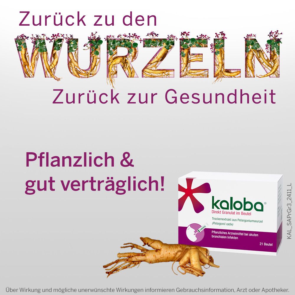 Kaloba® Direkt Granulat im Beutel