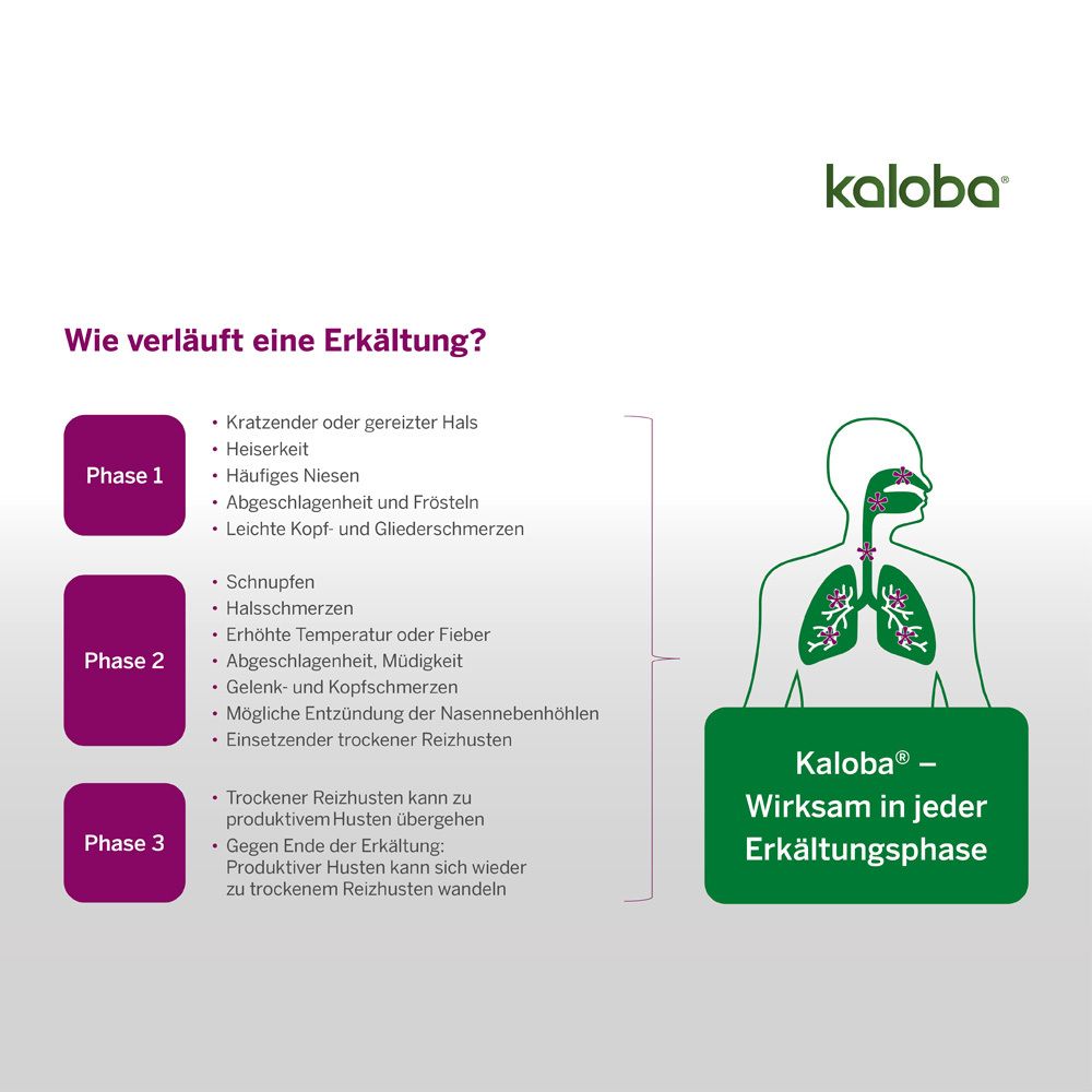 Kaloba® Direkt Granulat im Beutel