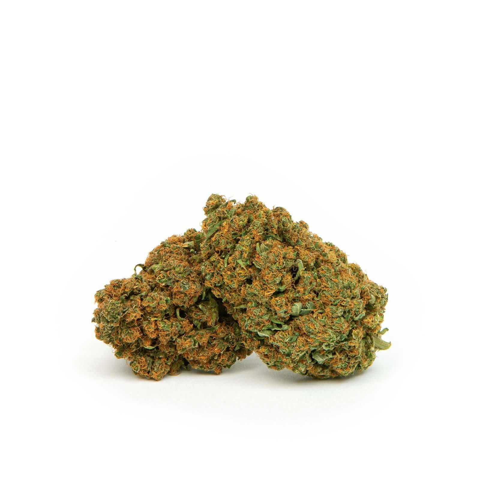 MAGU Mary Mellow Haze
