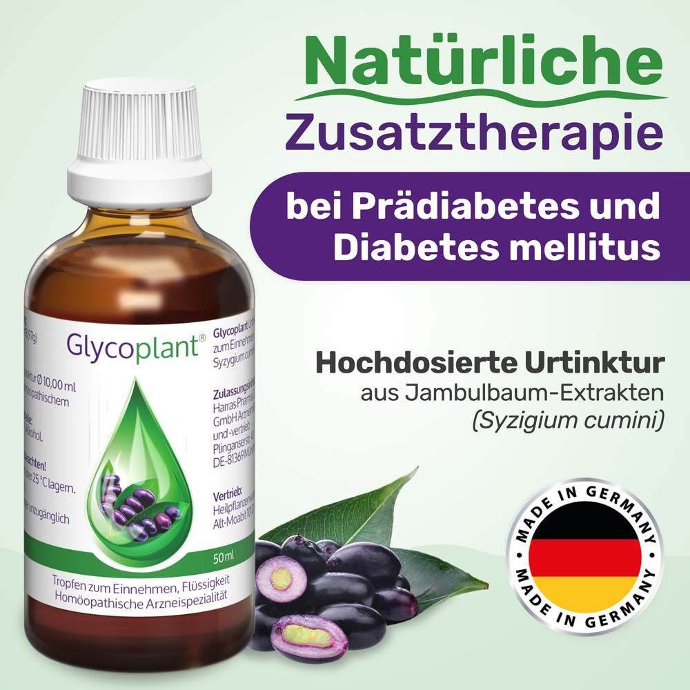 Braune Flasche mit weißem Deckel, Tropfen-Logo und Text. Aufschrift: Natürliche Zusatztherapie bei Prädiabetes und Diabetes mellitus.