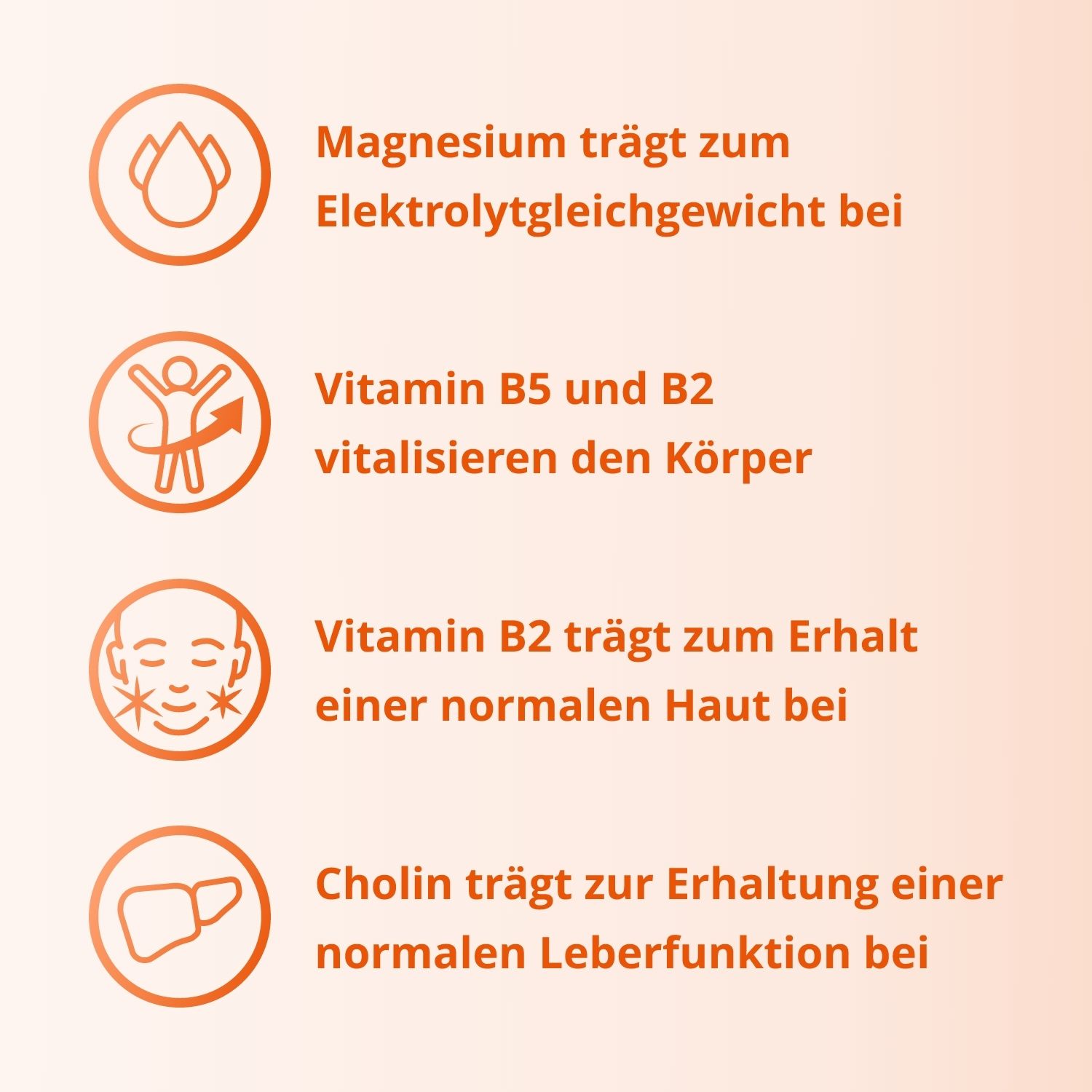 Elotrans® reload isotonische Elektrolyt-Glucose-Mischung, vegan