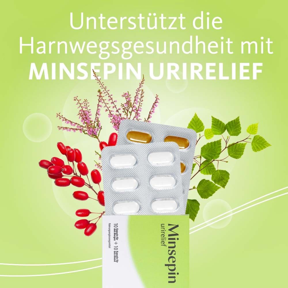Packung Minsepin urirelief mit Kapseln und Kräutern. Text: Unterstützt die Harnwegsgesundheit mit Minsepin urirelief.