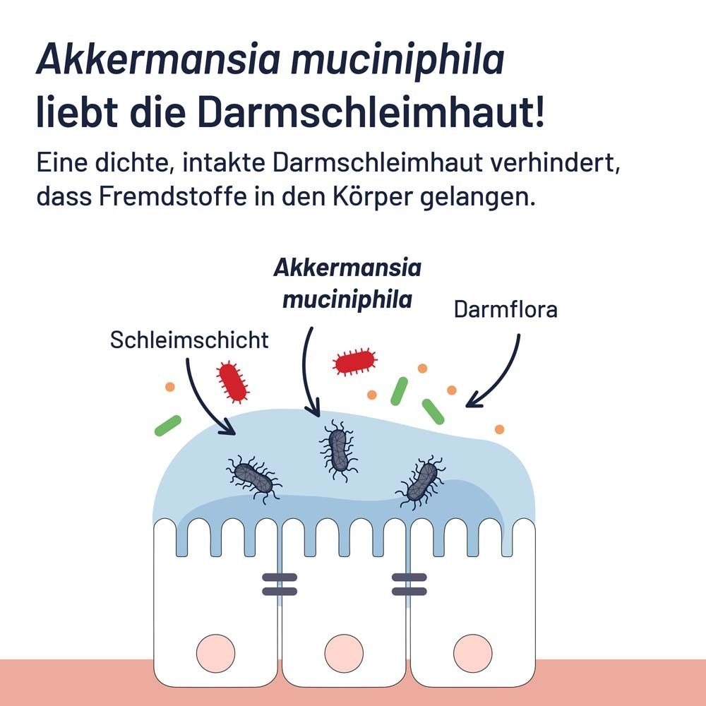 ProBio-Cult® AKK1 für die Darmschleimhaut