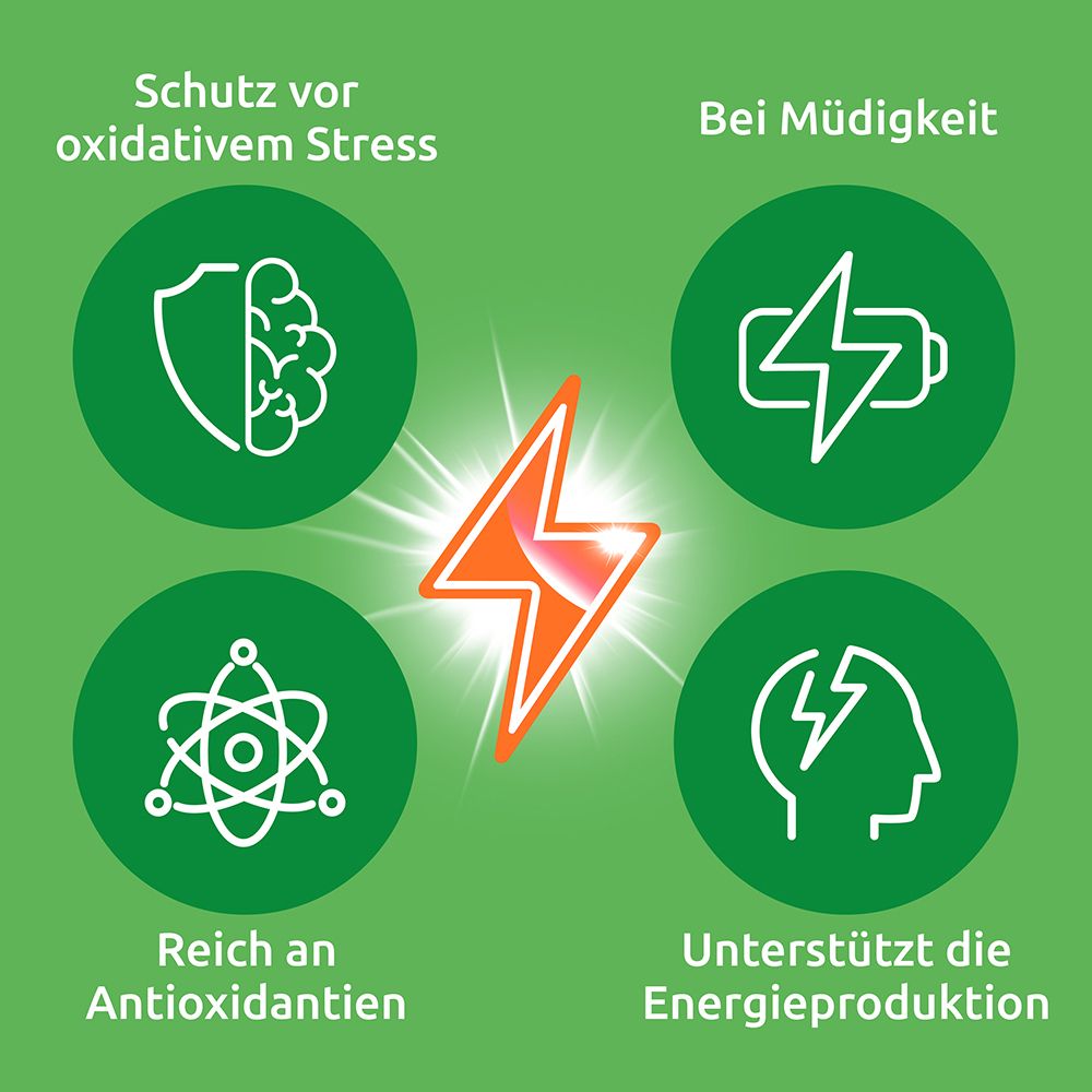 Grafik mit Symbolen für Schutz vor Stress, Müdigkeit, Antioxidantien und Energie.