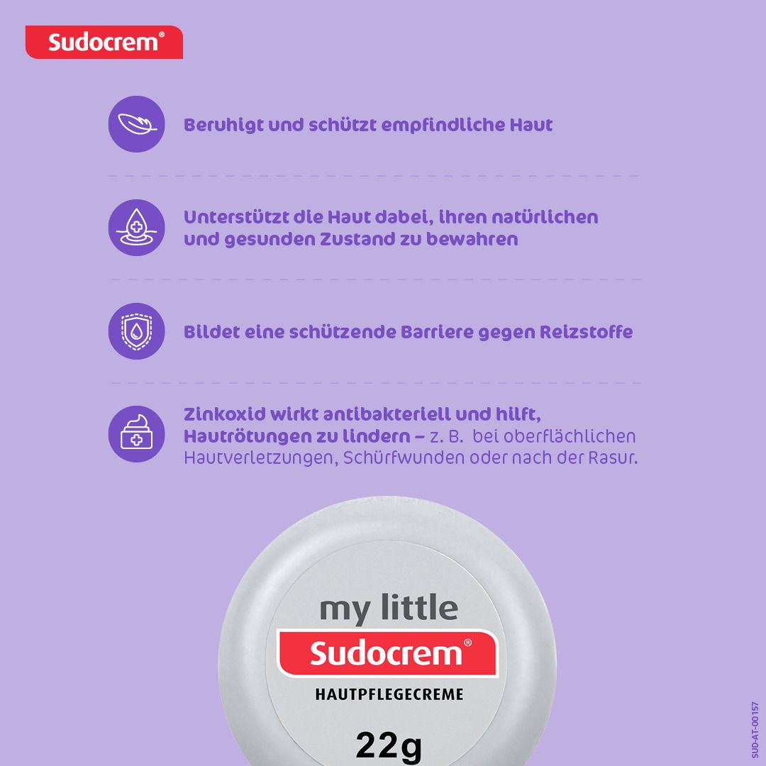Infografik mit Text und Symbolen. Text: Beruhigt und schützt empfindliche Haut. Bildet eine schützende Barriere. Zinkoxid wirkt antibakteriell.