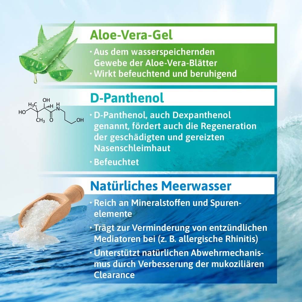 Infografik. Aloe-Vera-Gel, D-Panthenol, natürliches Meerwasser. Chemische Formel. Salz.