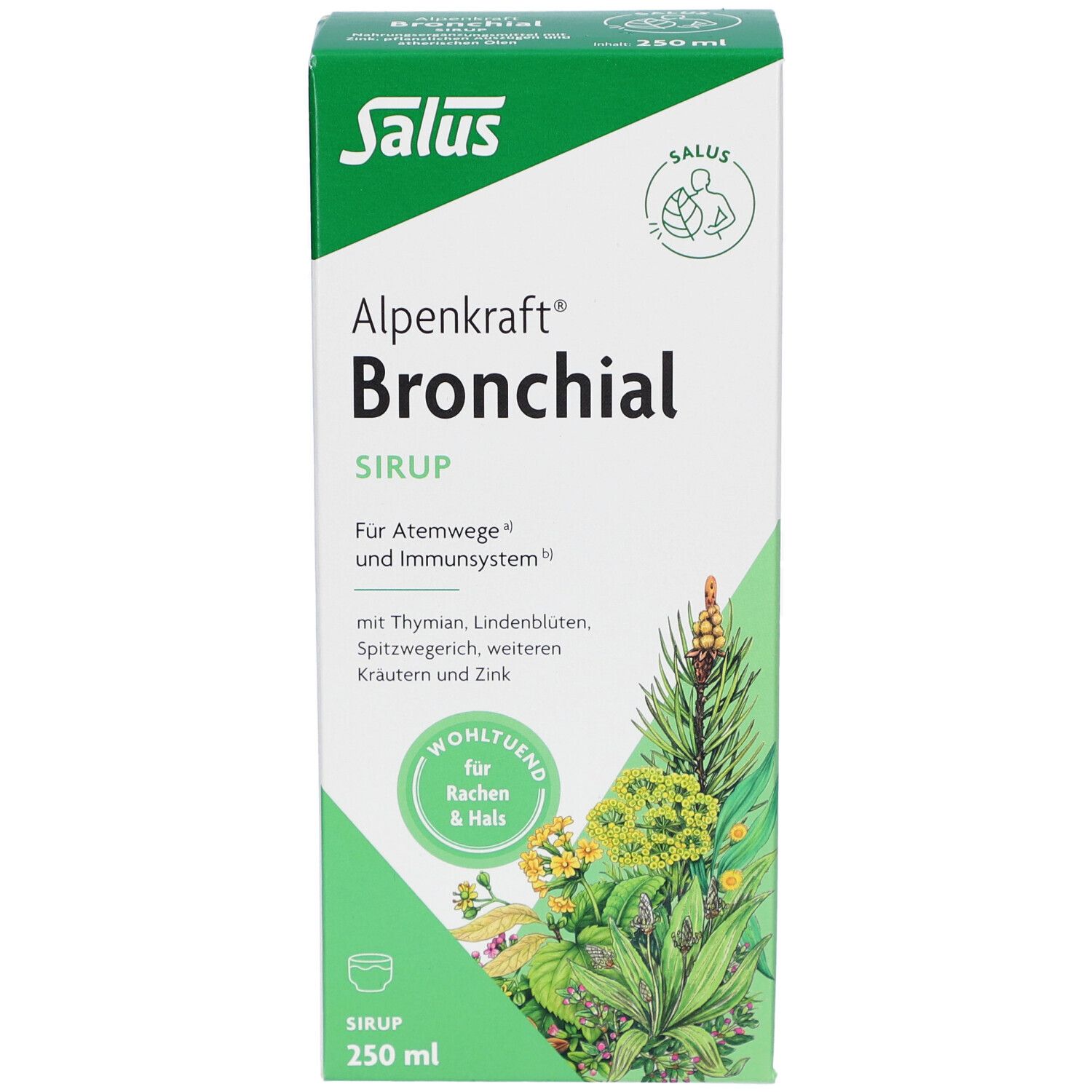 Vorderseite der Verpackung von Alpenkraft Bronchial Sirup. Grün-weiße Verpackung mit Produktnamen und Logo.