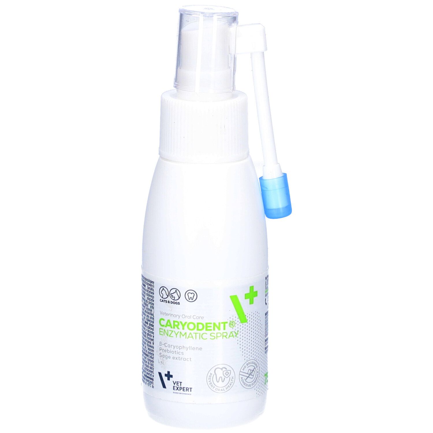 Weiße Flasche mit Sprühkopf und Aufsatz. Aufschrift: CARYODENT Enzymatic Spray. Grüne und blaue Akzente.