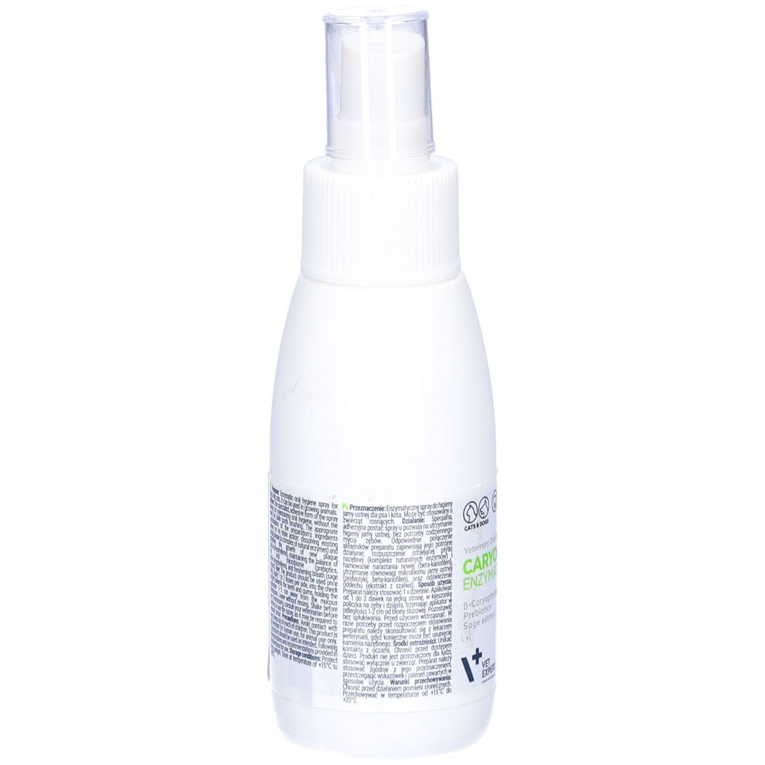 Weiße Flasche mit Text. Rückansicht. Aufschrift: CARYODENT Enzymatic Spray. Text in mehreren Sprachen.