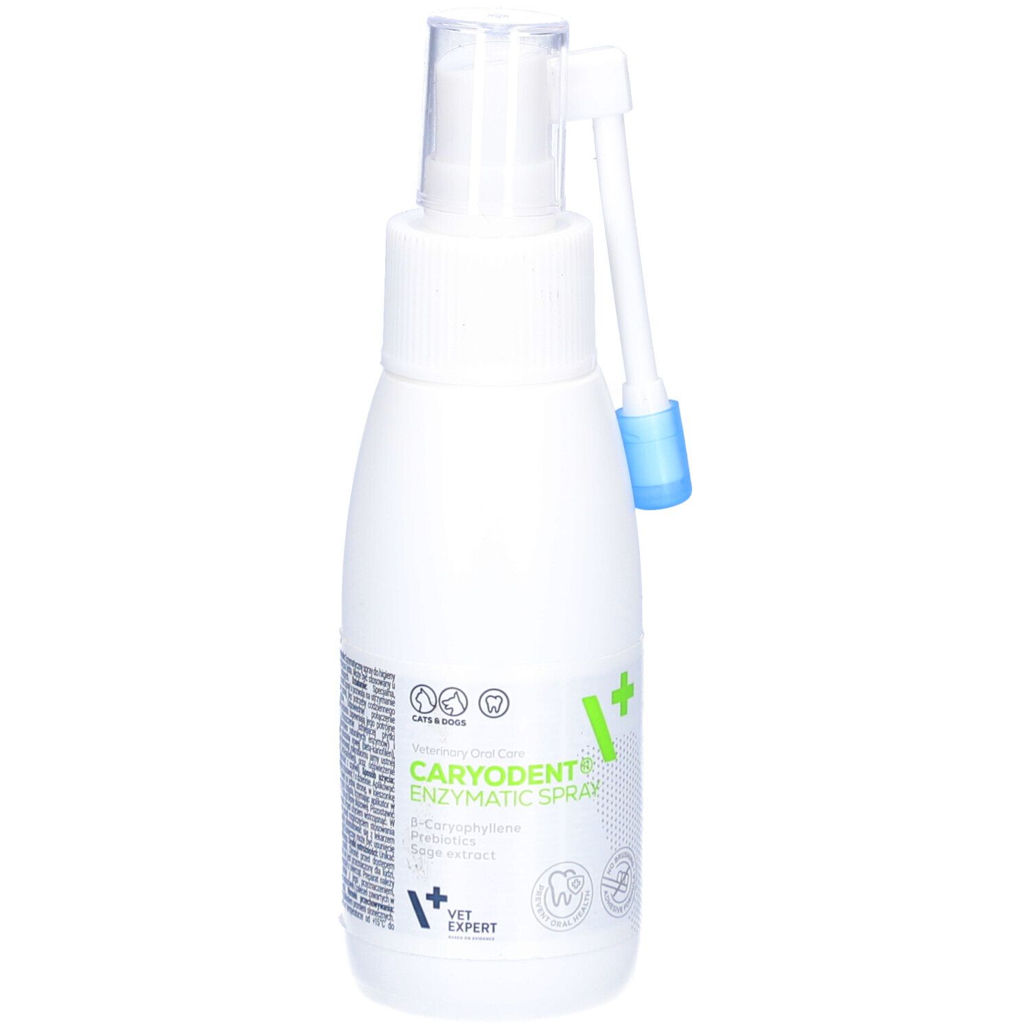 Weiße Flasche mit Sprühkopf und Aufsatz. Aufschrift: CARYODENT Enzymatic Spray. Grüne und blaue Akzente.