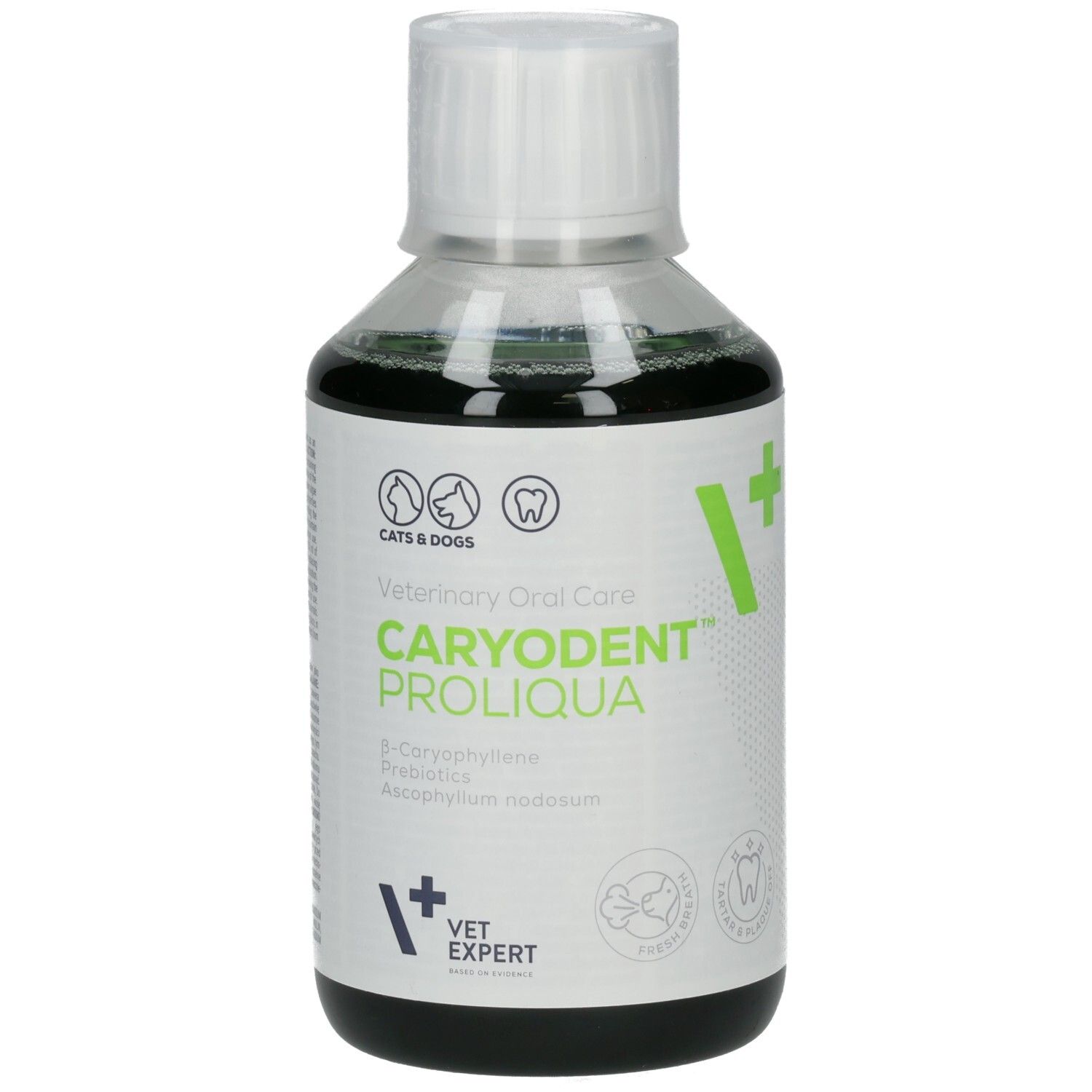 Flüssigkeit in einer Flasche. Aufschrift: Caryodent Proliqua, VET EXPERT. Für Katzen und Hunde.