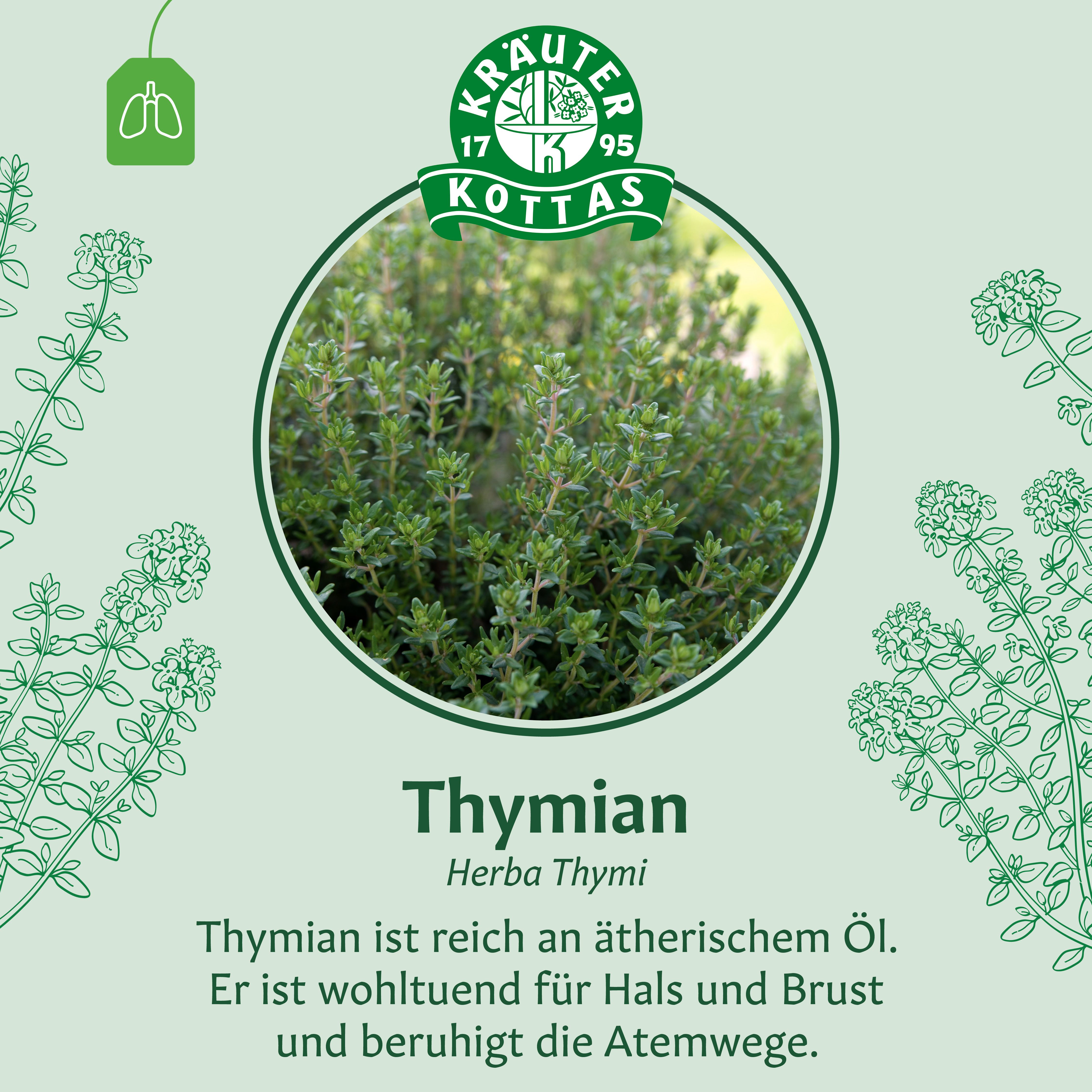 Kräutertee mit Thymian, Herba Thymi. Enthält ätherisches Öl, wohltuend für Hals und Brust.