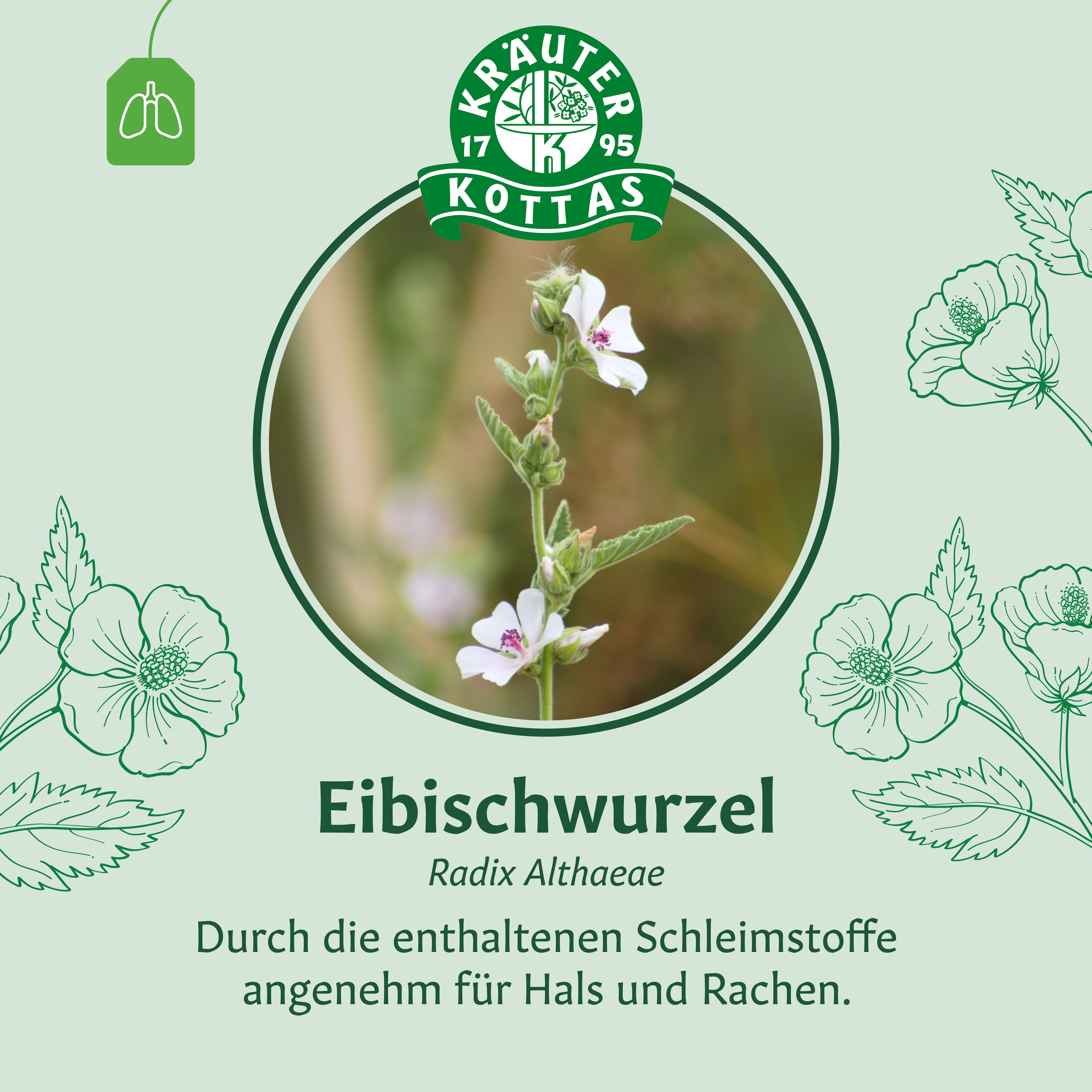 Verpackung mit Bild einer Heilpflanze und Text über ihre beruhigende Wirkung auf Hals und Rachen.