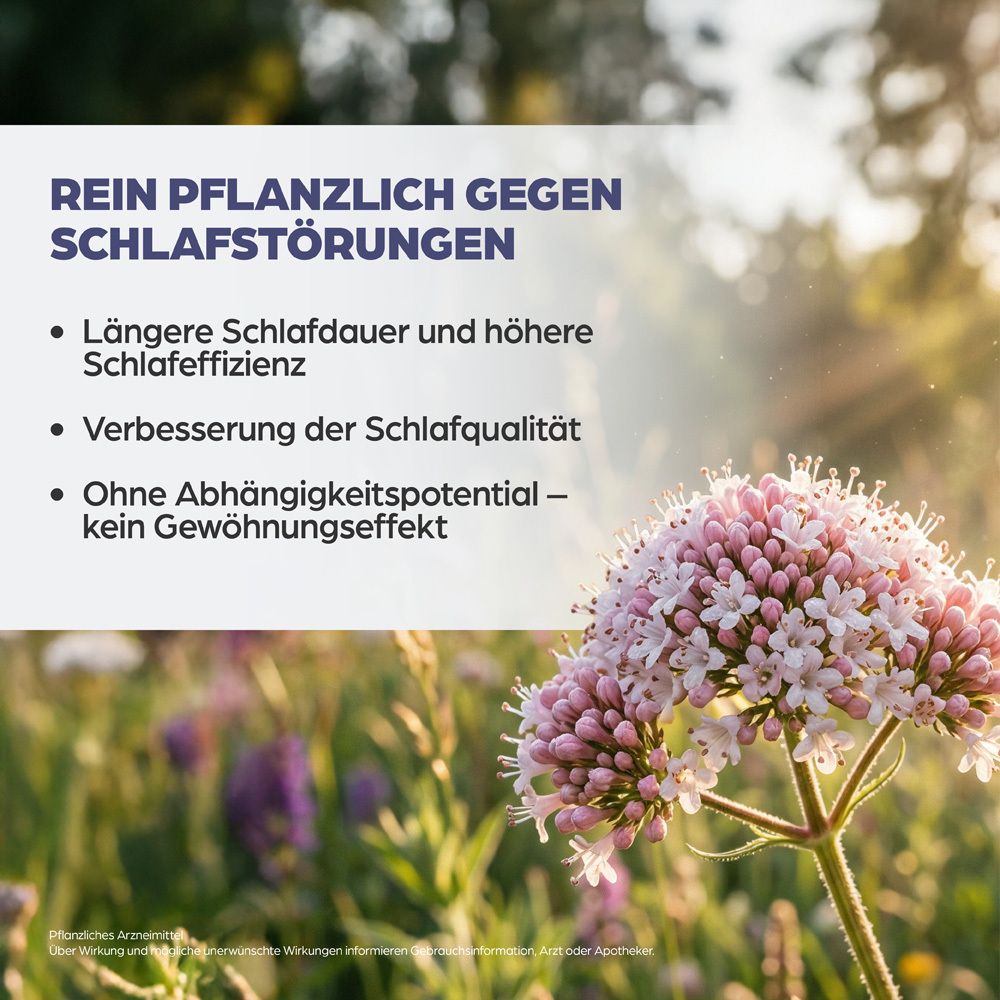 Feld mit Baldrianblüten und Text über Vorteile für Schlaf.