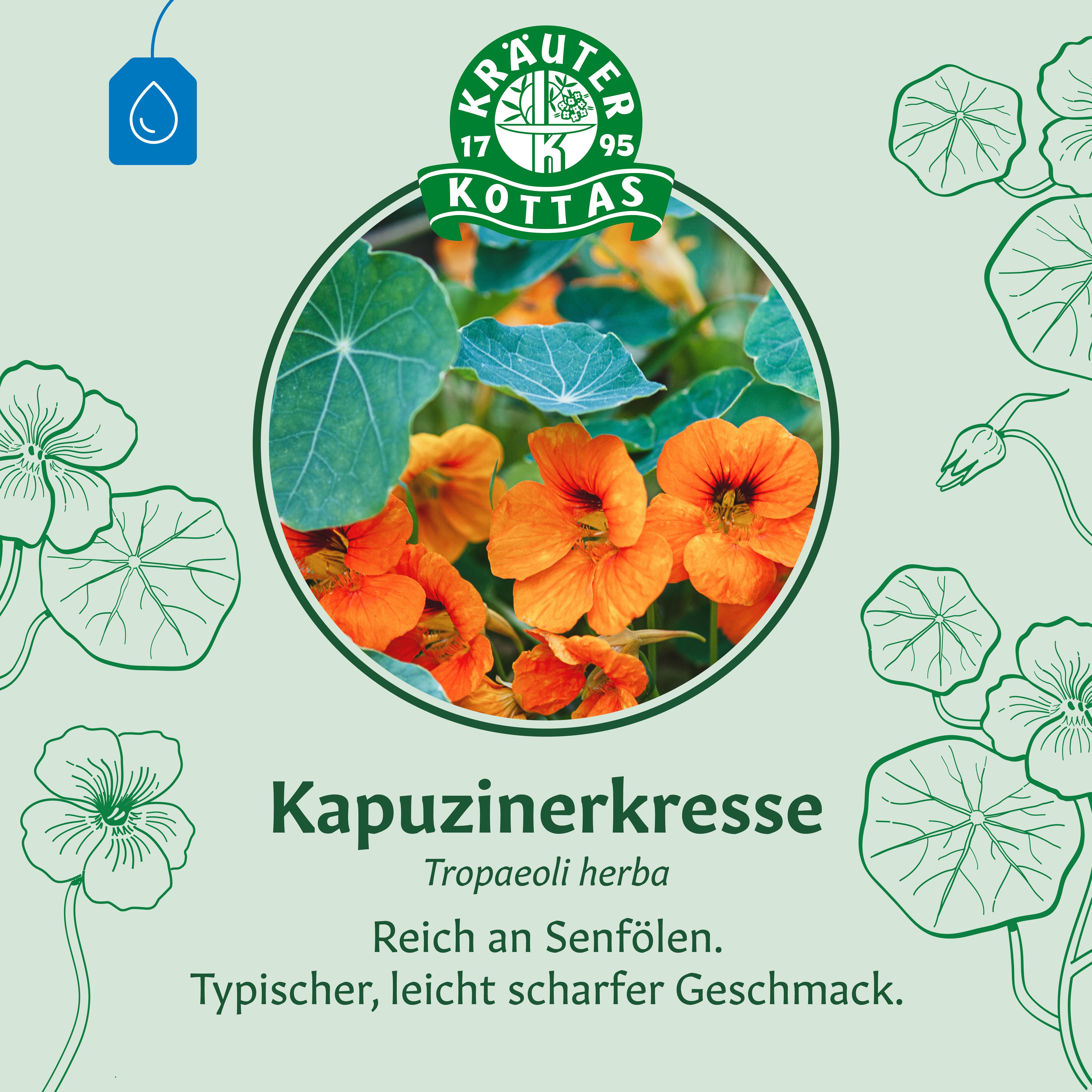 Abbildung von Kapuzinerkresse (Tropaeoli herba) mit Blüten und Blättern.