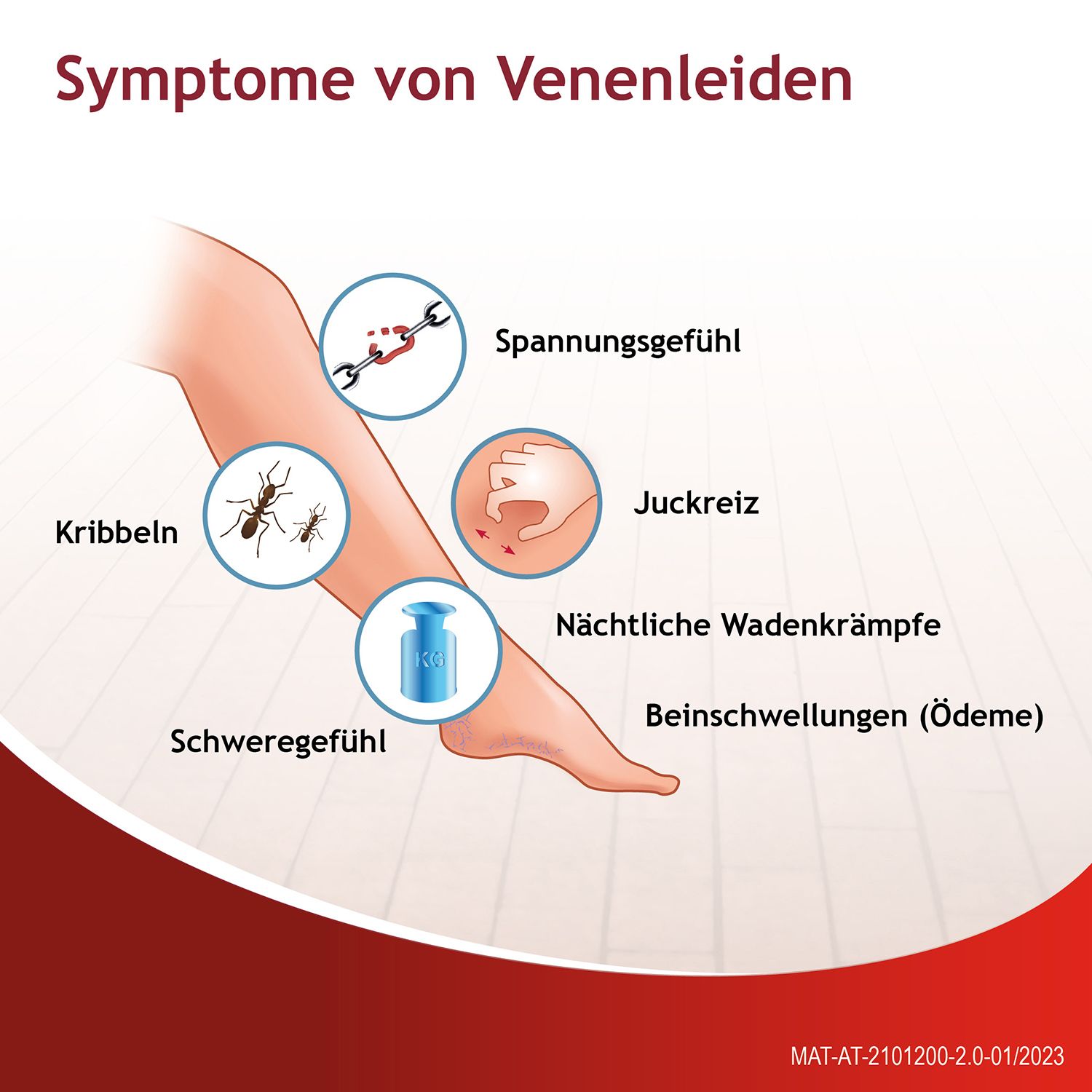 Antistax® 360 mg Filmtabletten bei Venenschwäche und Krampfadern + Antistax® Creme bei müden, schweren Beinen