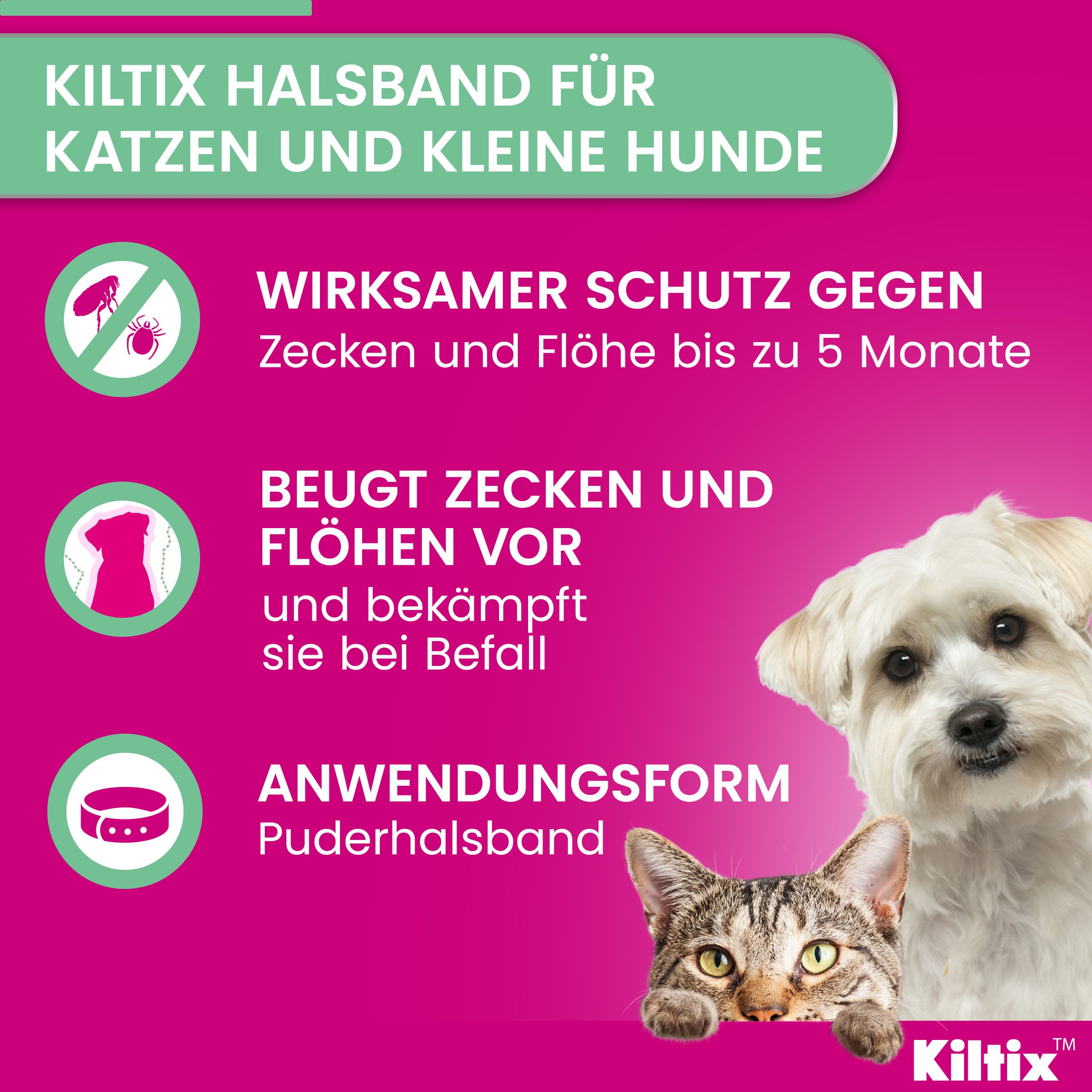 Kiltix® Halsband für Katzen und kleine Hunde + Halsband für mittelgroße Hunde