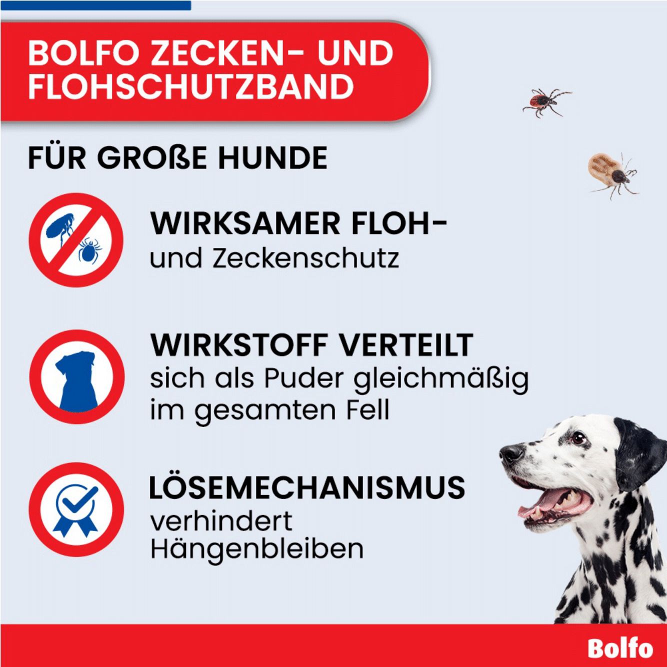 Infografik mit Text und Illustrationen. Wirksamer Floh- und Zeckenschutz für große Hunde. Dalmatiner-Hund.