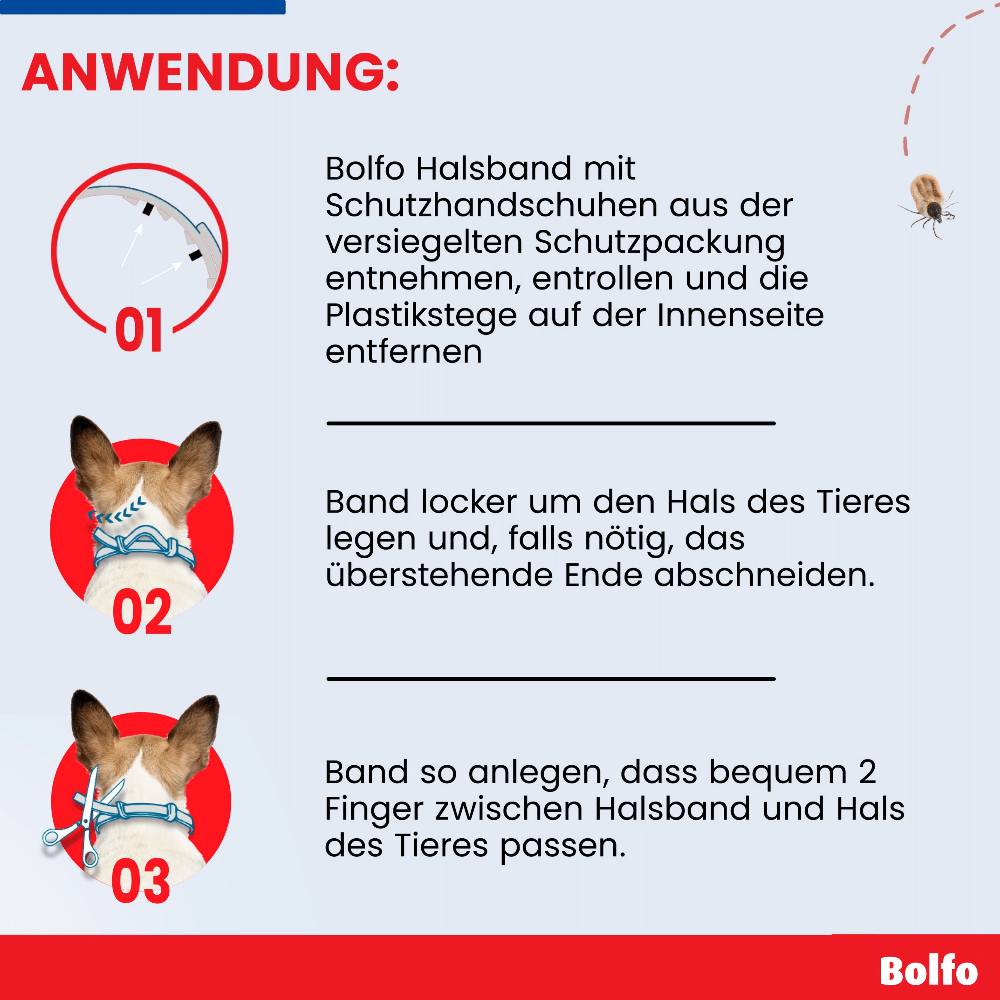 Anleitung zur Anwendung des Halsbands. Drei Schritte mit Illustrationen und Text. Hund mit Halsband.