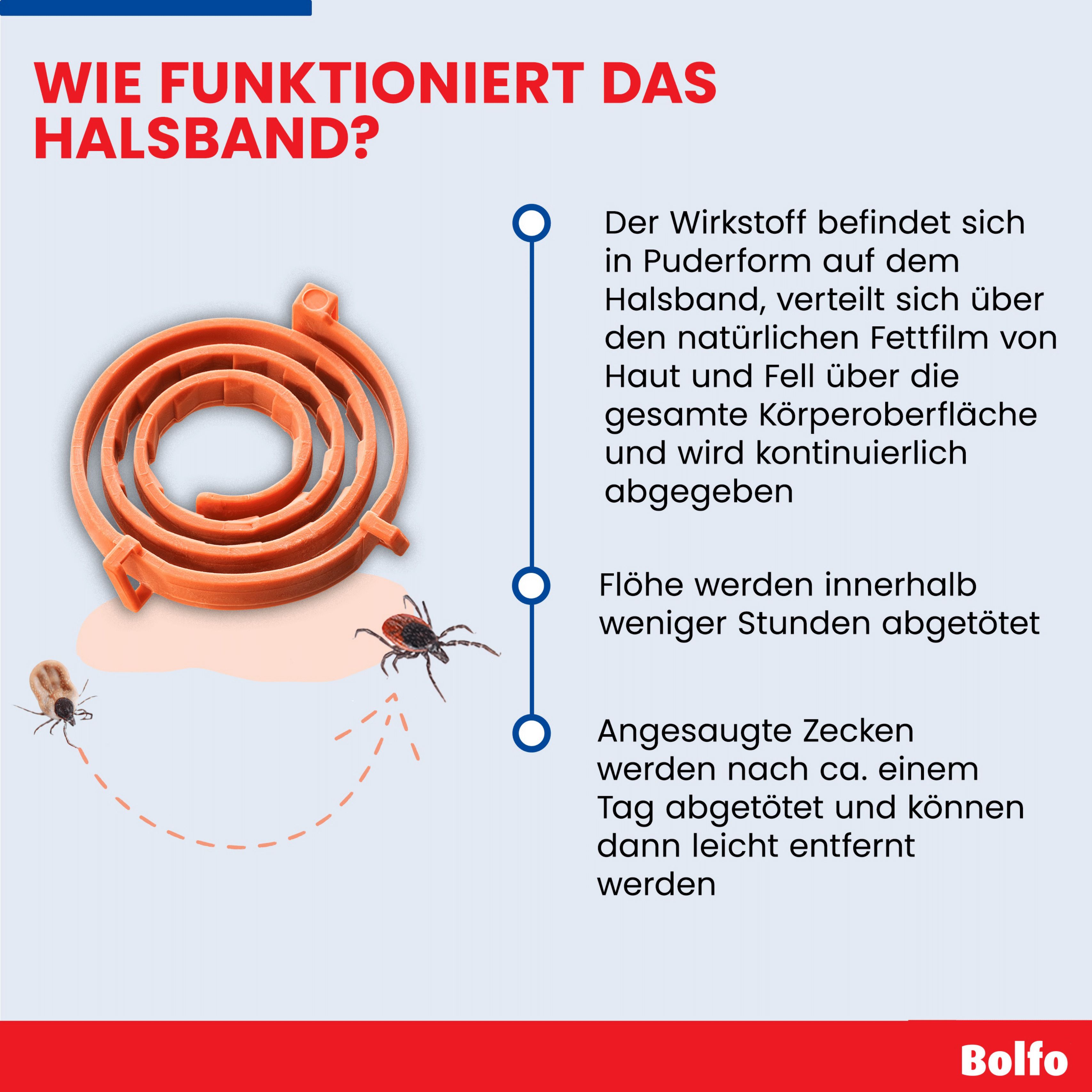 Infografik zur Funktionsweise des Halsbands. Wirkstoff in Puderform, kontinuierliche Abgabe. Illustrationen von Zecken und Flöhen.