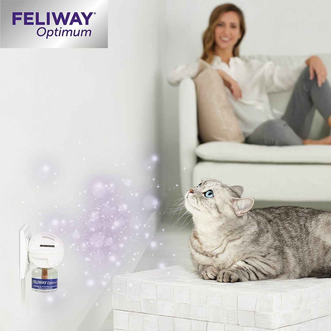 FELIWAY® Optimum 30 Tage Nachfüllflakon – für noch ausgeglichenere Katzen