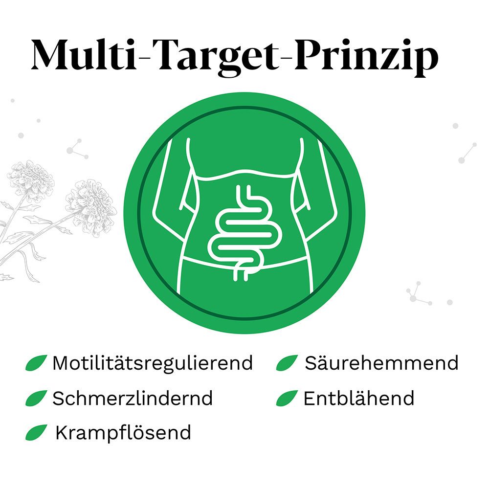 Kreisförmige Darstellung des Multi-Target-Prinzips. Text: Motilitätsregulierend, schmerzlindernd, etc.