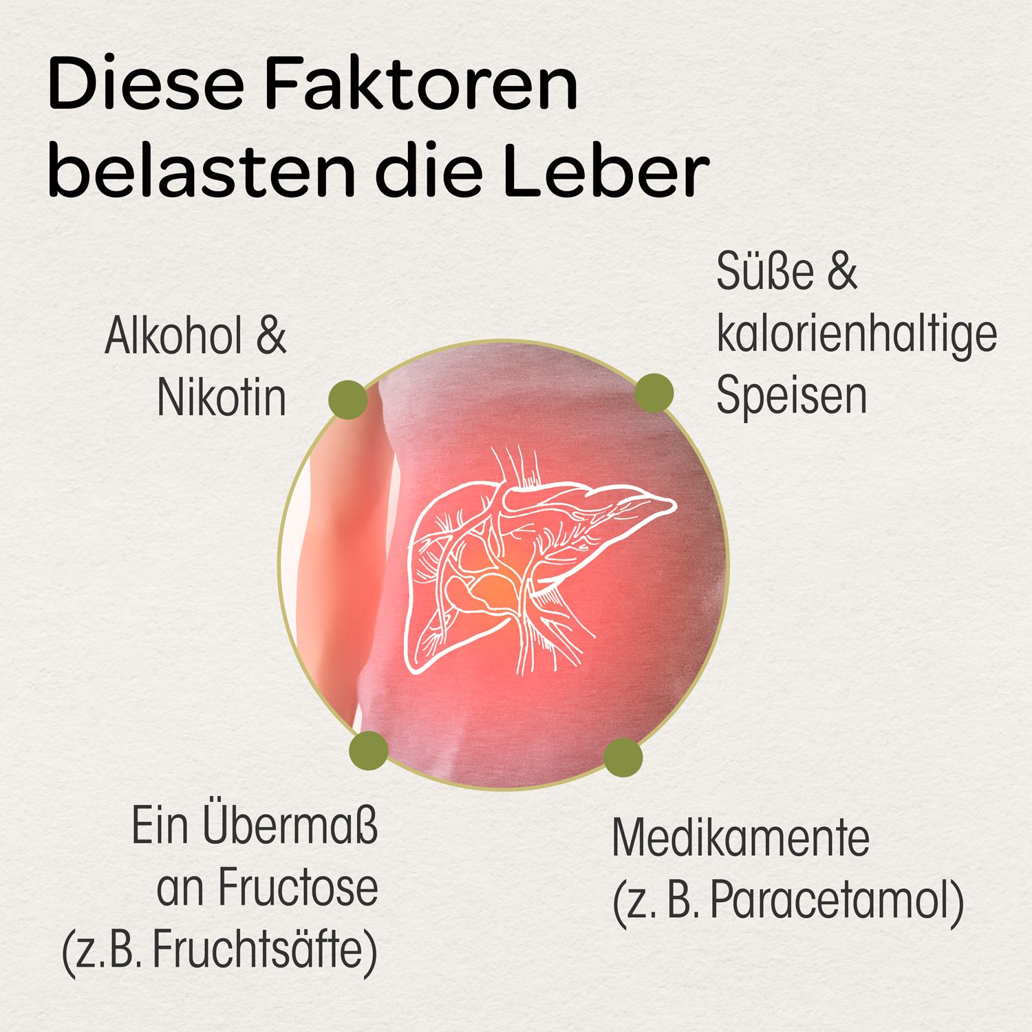 Dr. Böhm® Mariendistel 140 mg Kapseln