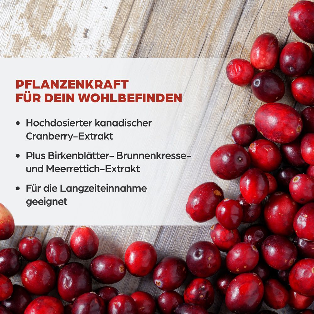 Nahaufnahme von Cranberrys auf Holzuntergrund. Text: Pflanzkraft für dein Wohlbefinden. Hochdosiertes Cranberry-Extrakt, Birkenblätter-Extrakt.