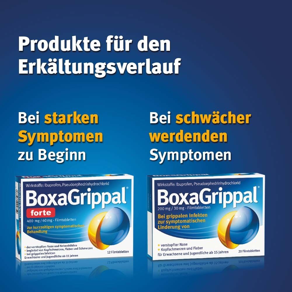 Zwei BoxaGrippal® Packungen. Text: Produkte für den Erkältungsverlauf. Bei stärkeren Symptomen zu Beginn. Bei schwächer werdenden Symptomen.