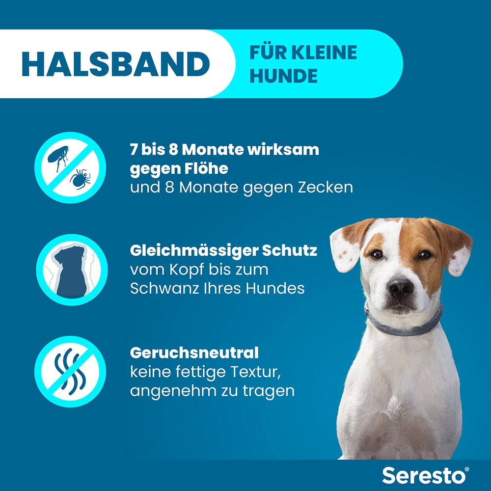 Blauer Hintergrund mit Text und Hund. Text: 7-8 Monate gegen Flöhe und Zecken. Geruchsneutral. Halsband für kleine Hunde.